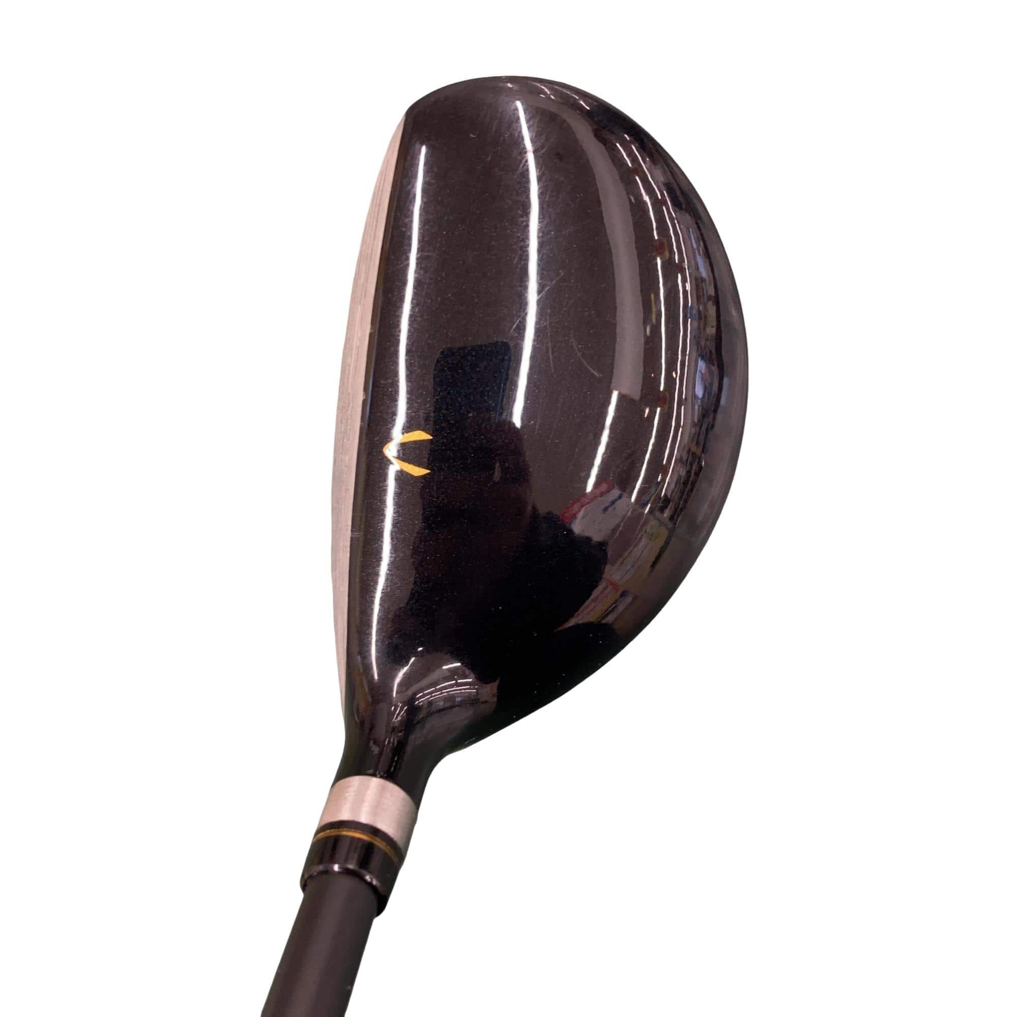 �j�Q�j�@���������O�X���[�e�B���e�B�@�t�T