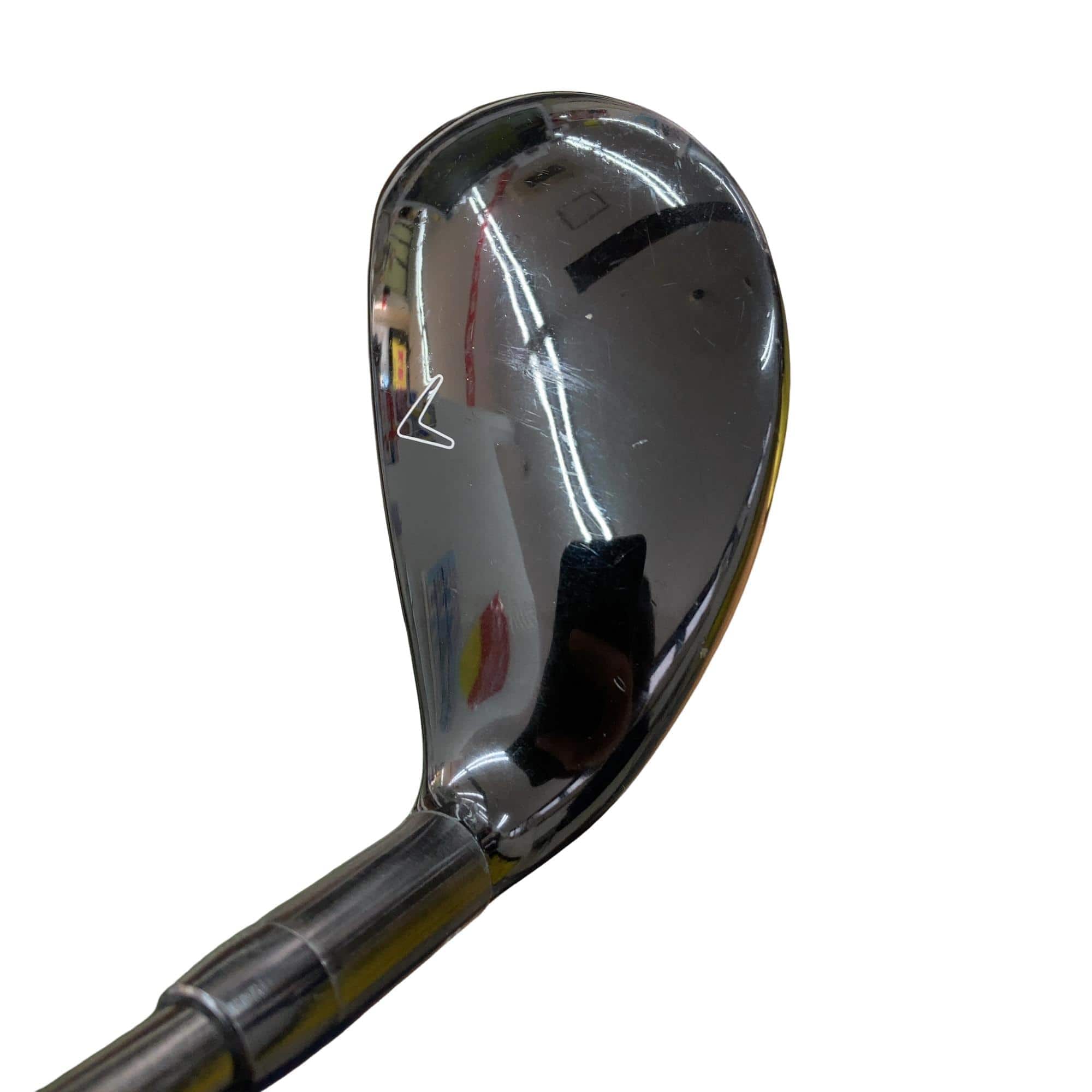 �w�Q�@�g�n�s�@�t�T