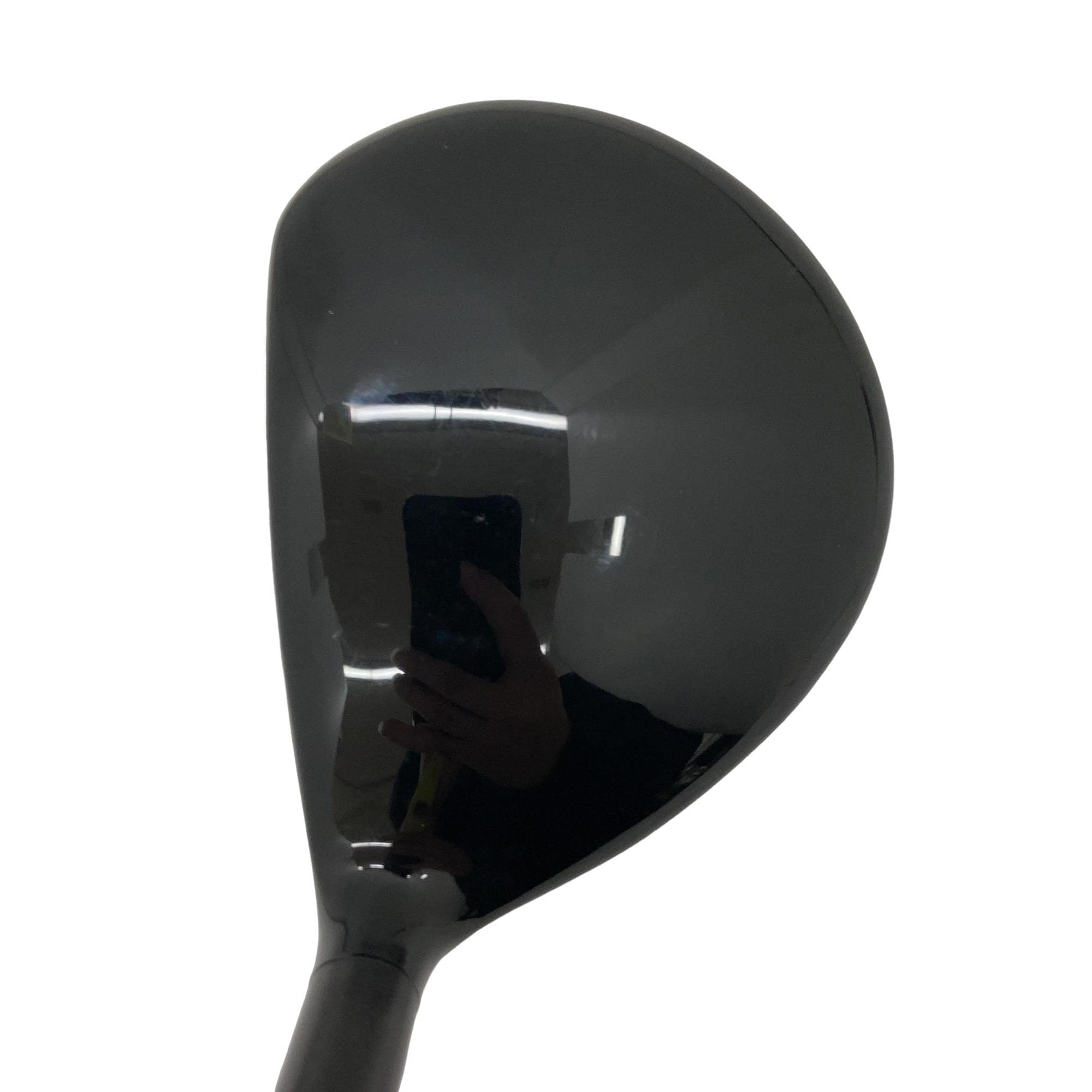 �w�Q�@�g�n�s�@�o�q�n�@�P�T°