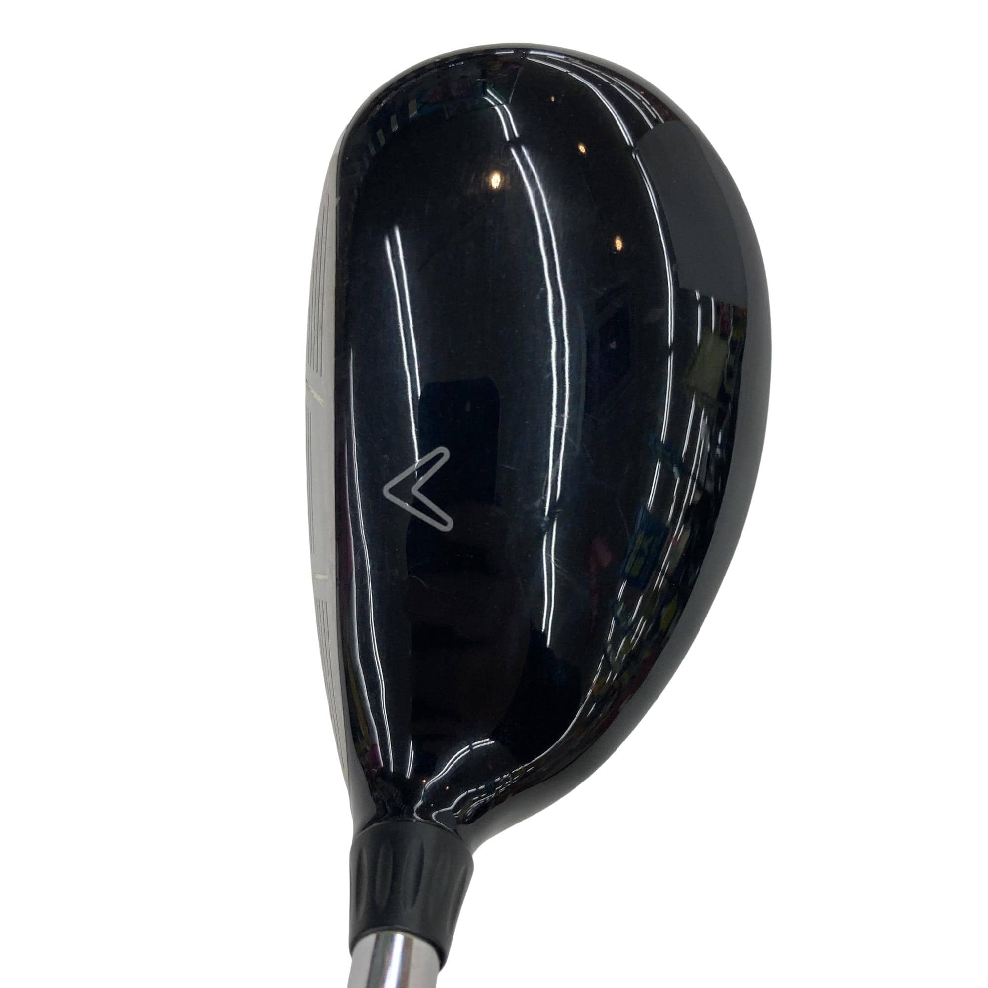 �w�@�c�q�r�@���[�e�B���e�B�@�R�g�i�Q�P°�j