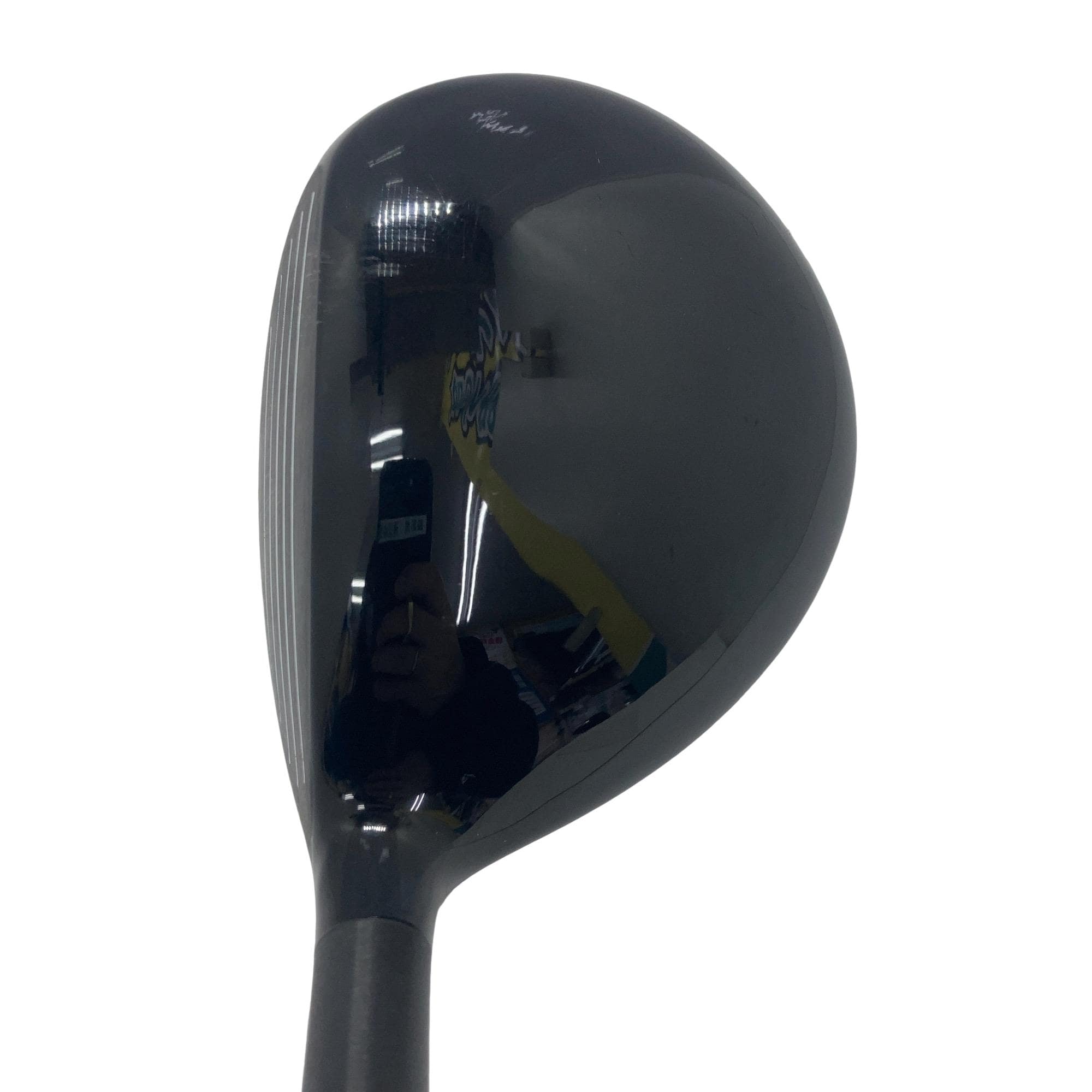 �w�Q�@�g�n�s�@�o�q�n�@�P�X°