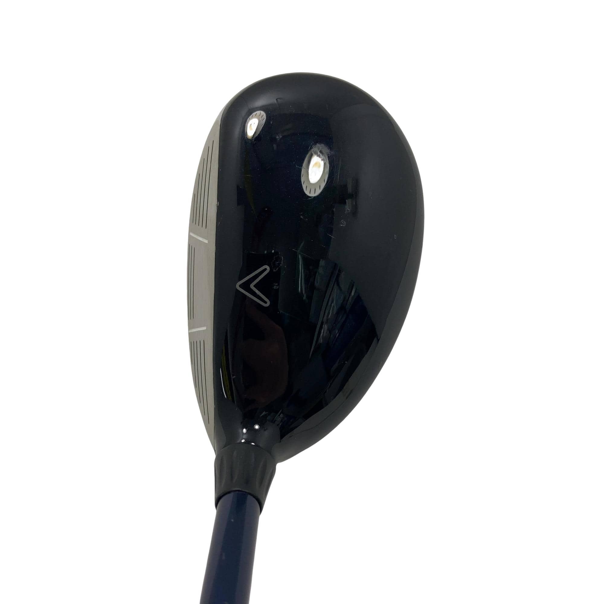 �w�@�c�q�r�@���[�e�B���e�B�@�S�g�i�Q�S°�j