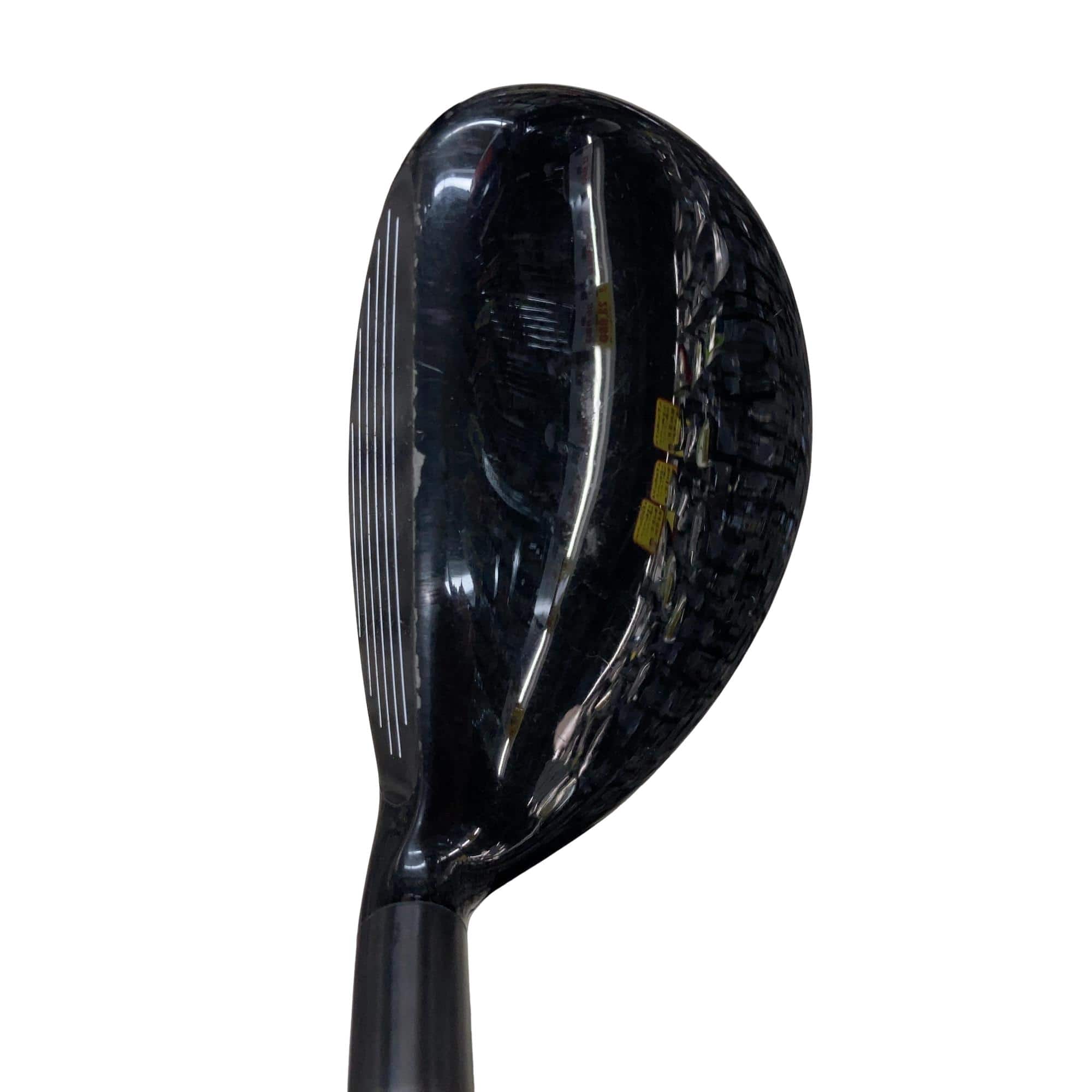 �w�@�g�n�s�@�t�R