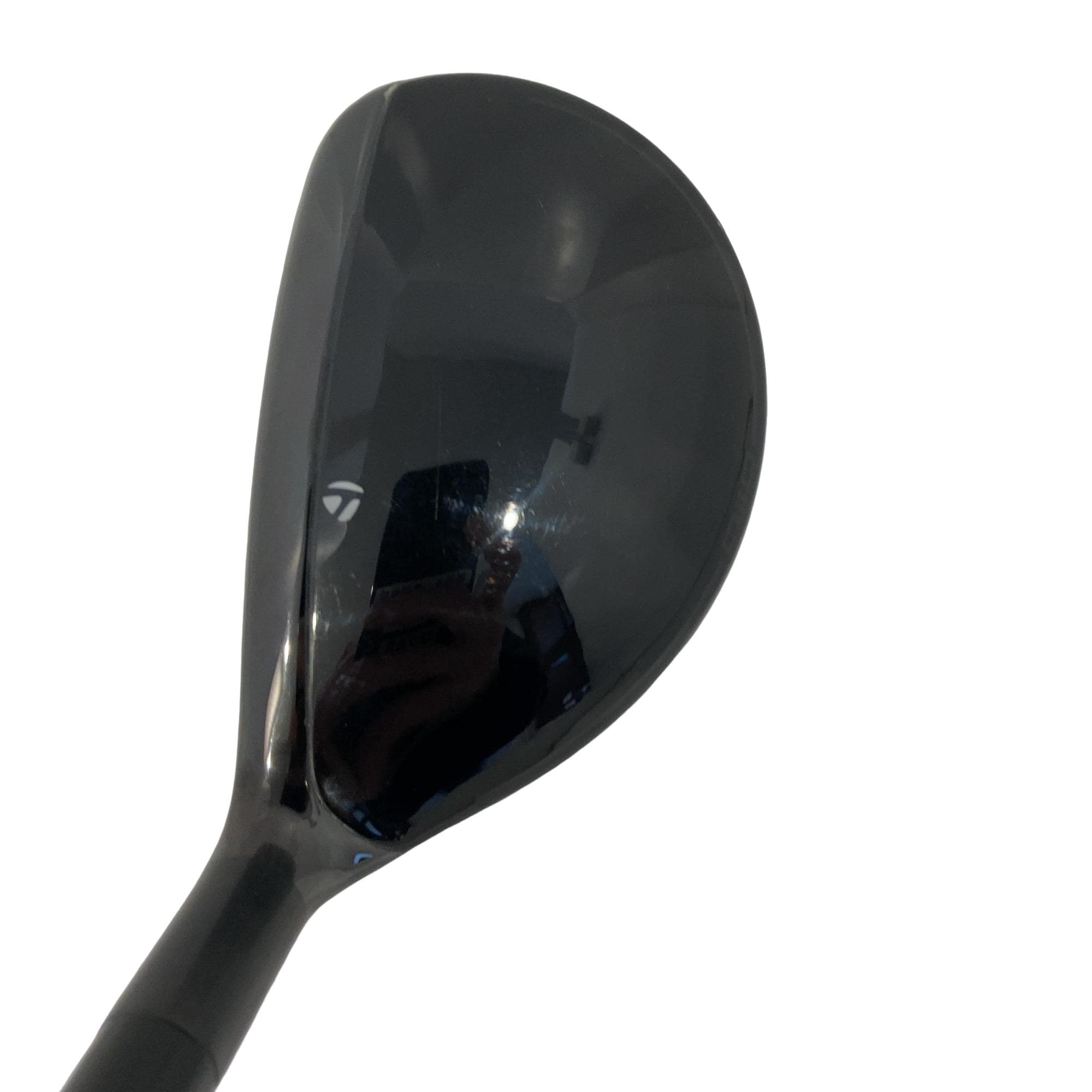 �p���P�O�@�l�`�w�@�t�S�@���f�B�[�X