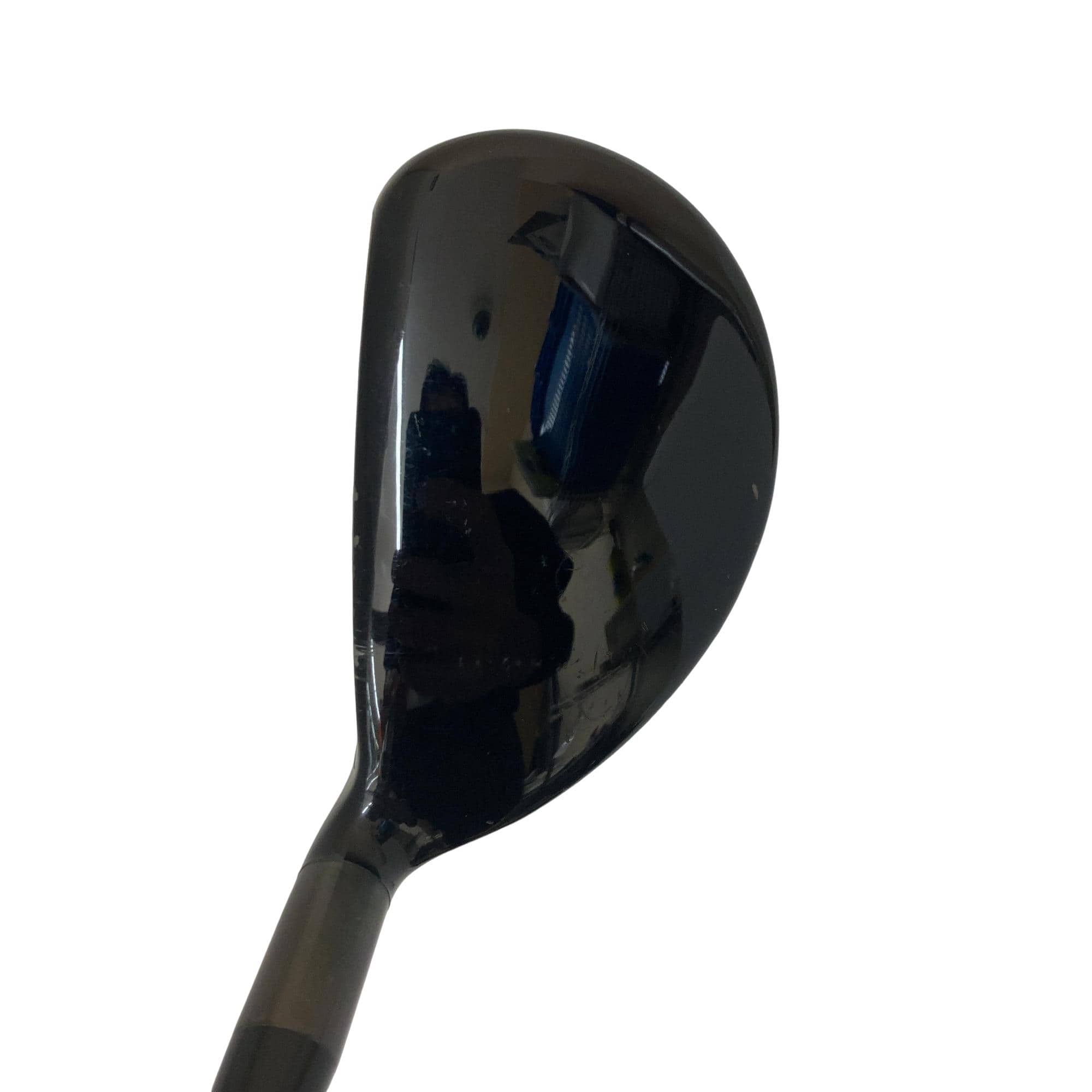 �w�@�g�n�s�@�t�R