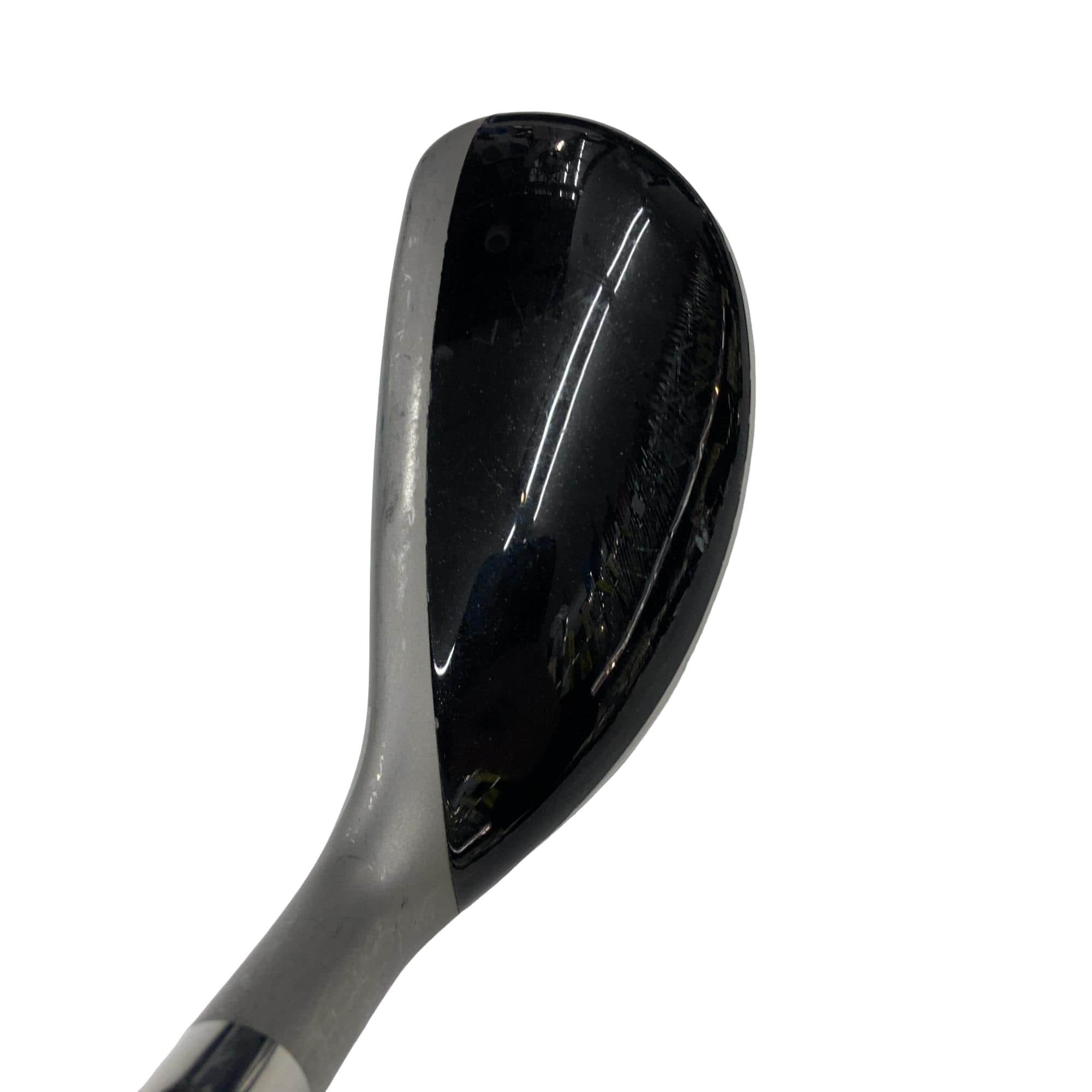 �u�q�@�o�q�n�@���[�e�B���e�B�@�t�R