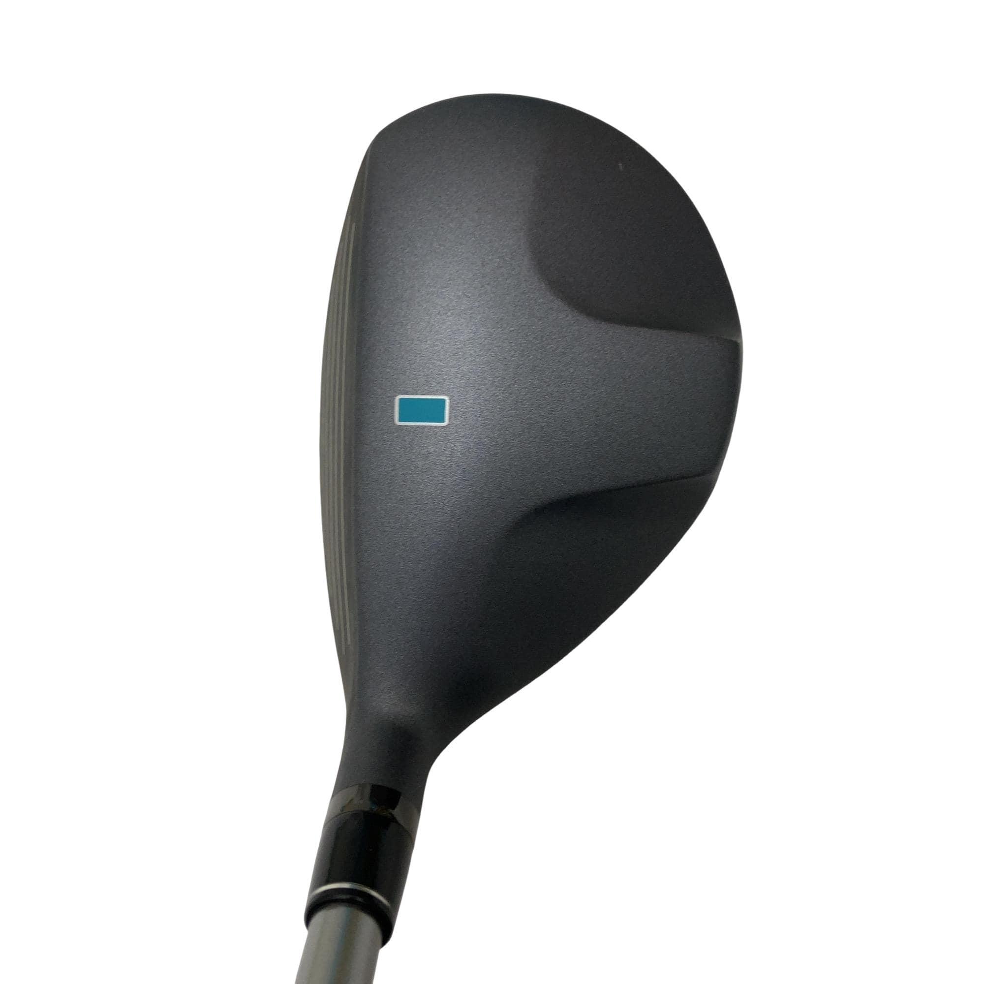 �b�����������@�p�@�t�T