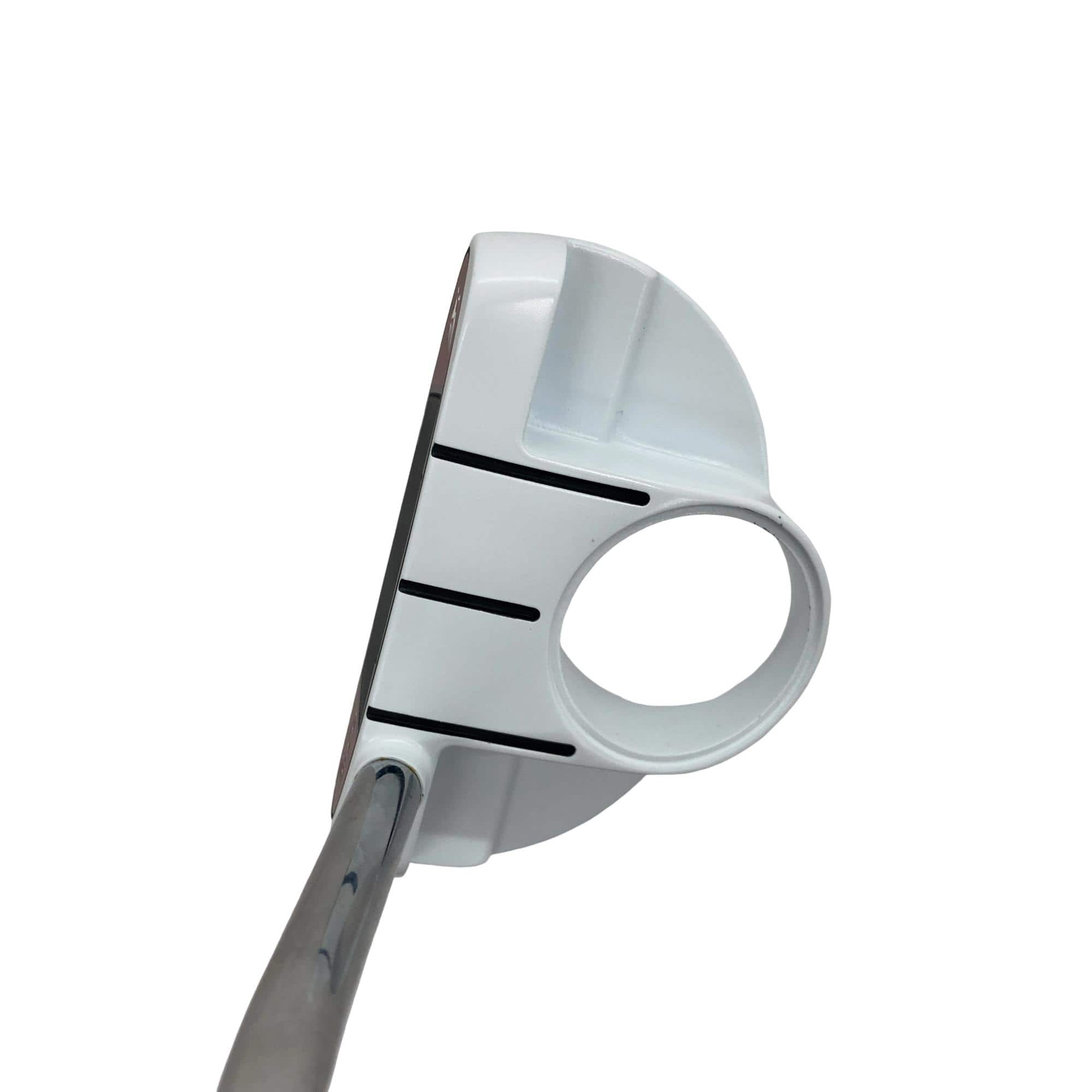 �q���������@�f�g�n�r�s�@���������{�@�e�n�m�s�`�m�`�@�R�S�C���`