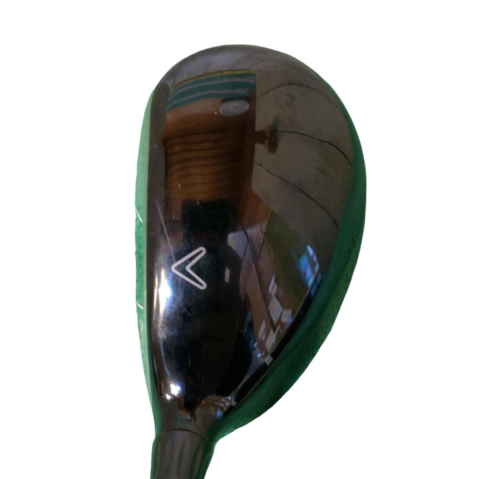 �w�@�c�q�r�@���[�e�B���e�B�@�R�g�i�Q�P°�j