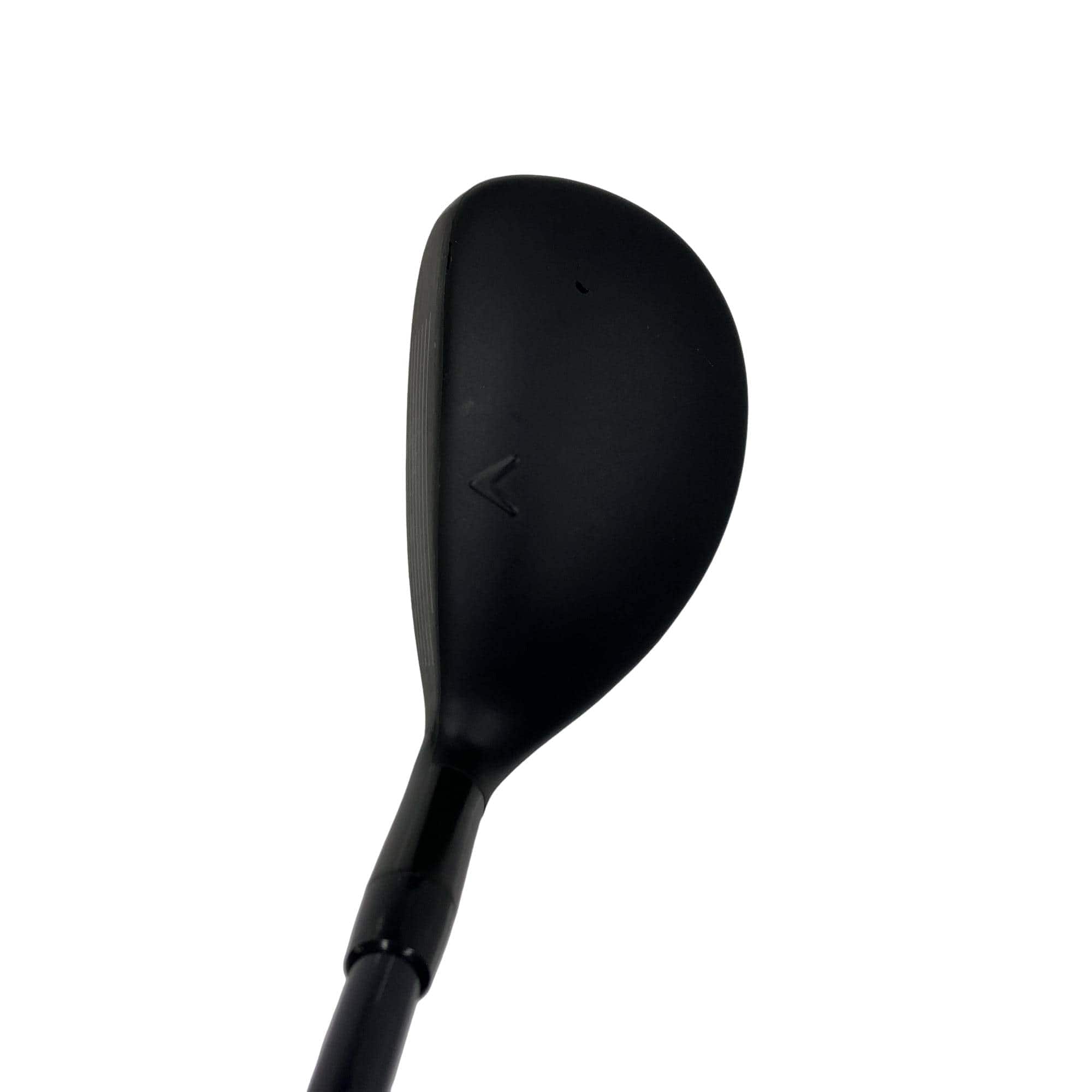 �w�q�@�P�U�@�n�r�@�t�T