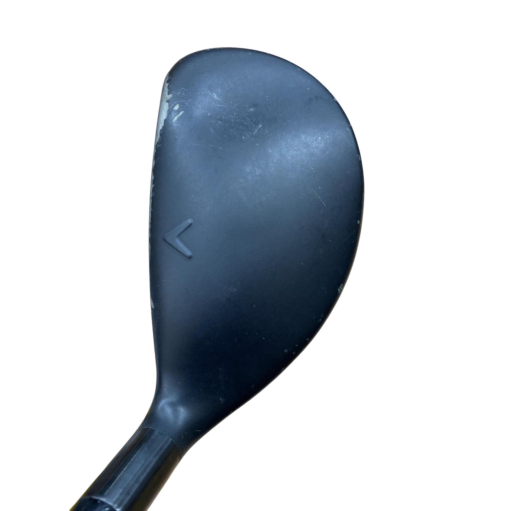 �w�q�@�P�U�@�n�r�@�t�T