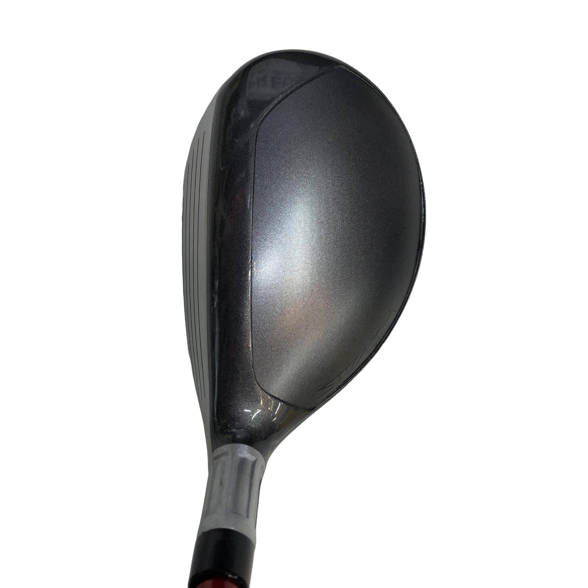 �r�s�d�`�k�s�g�@�t�T�@���f�B�[�X