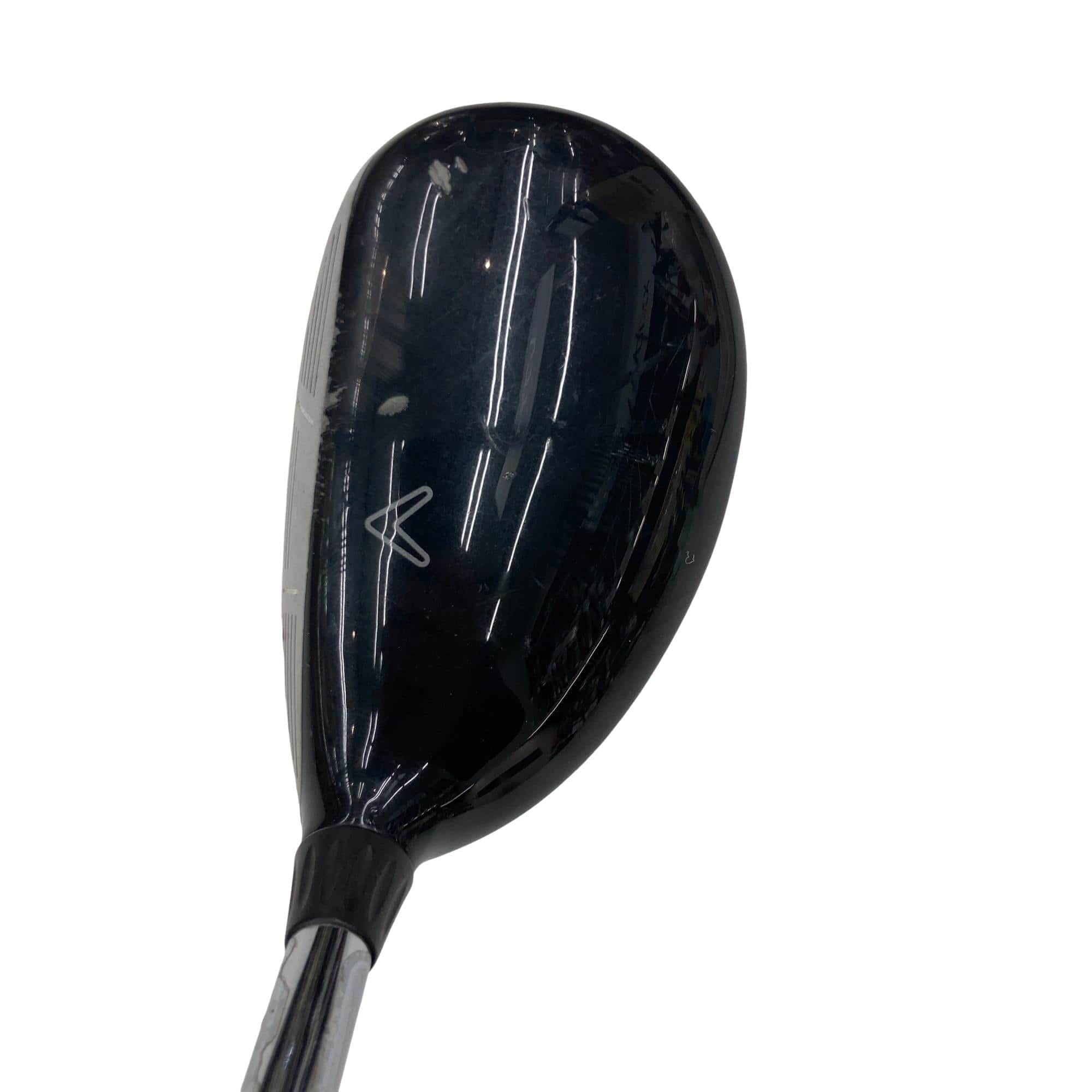 �w�@�c�q�r�@���[�e�B���e�B�@�R�g�i�Q�P°�j