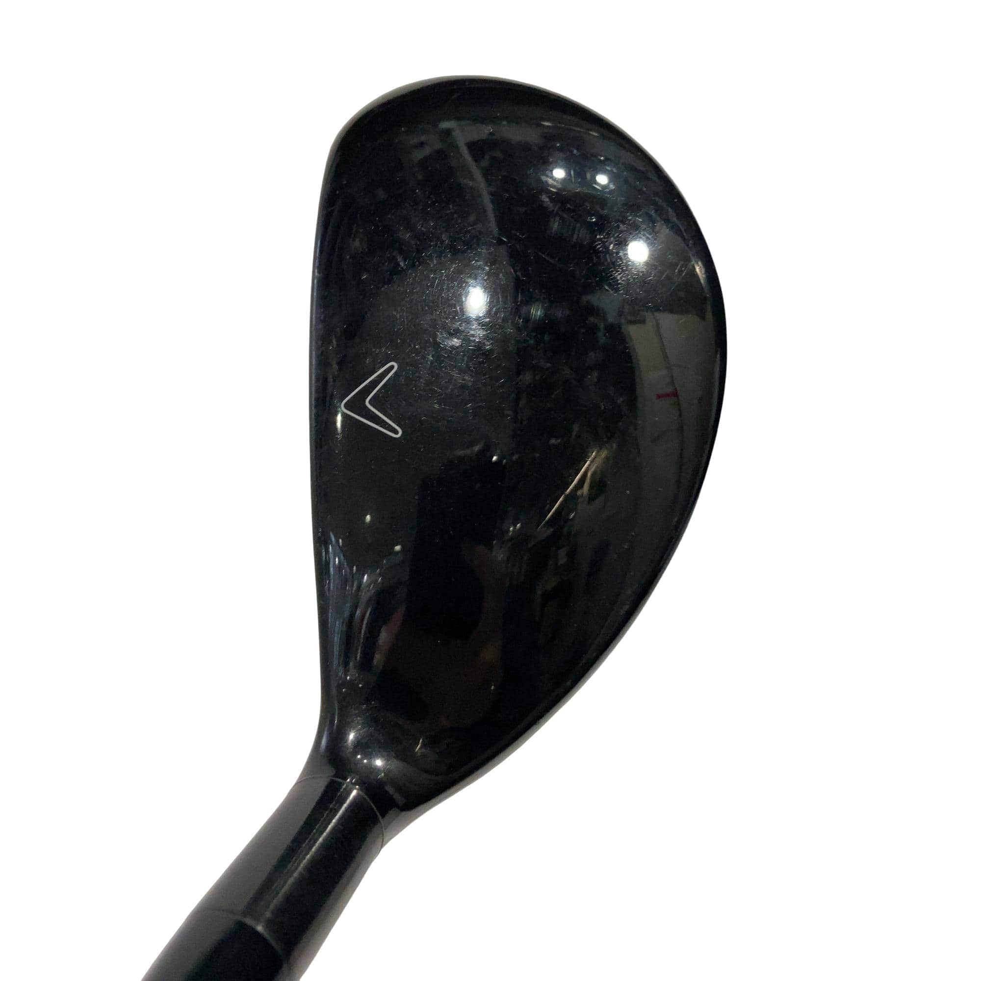 �w�Q�@�g�n�s�@�t�R