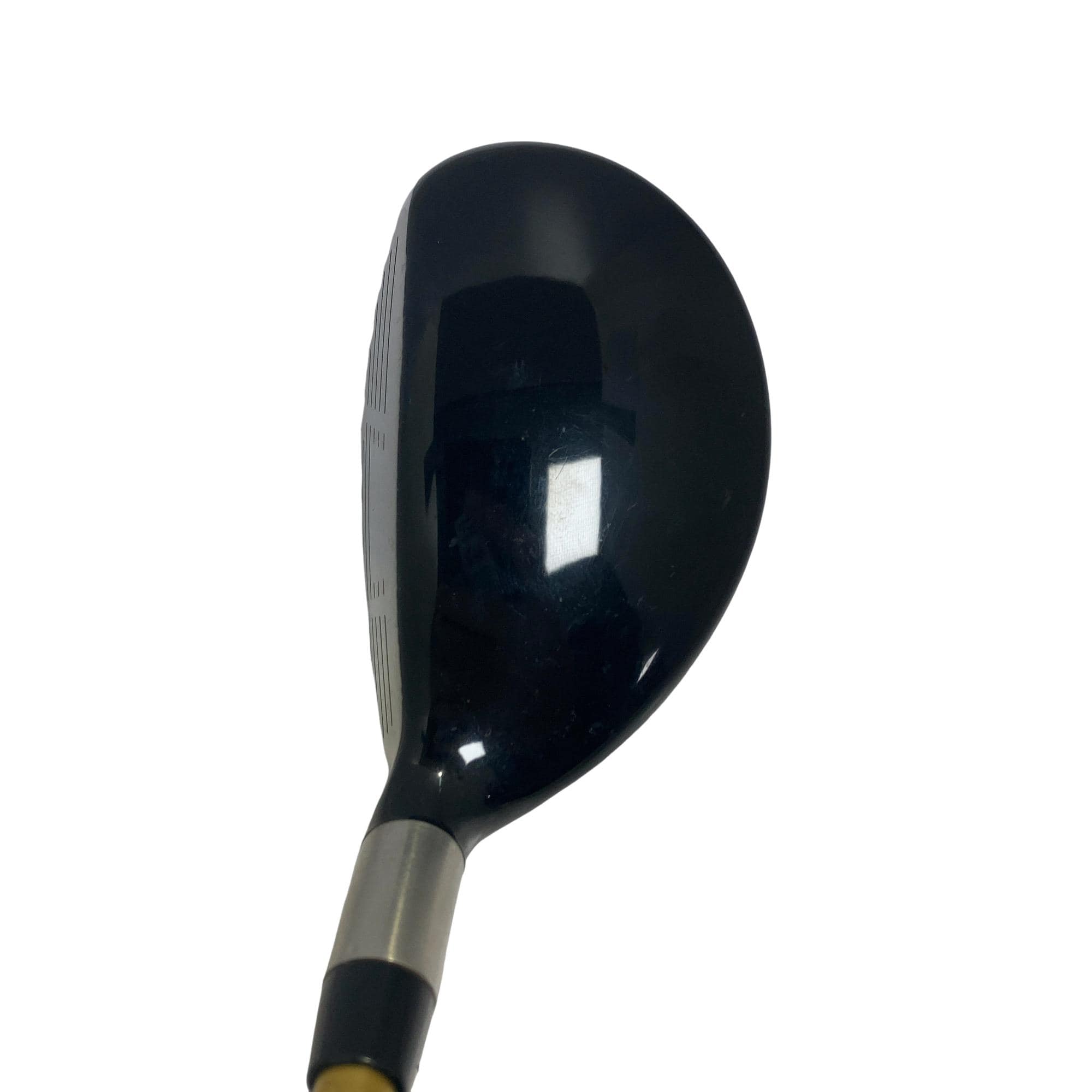 �e�s�@���[�e�B���e�B�@�c�q�`�v�@�R�g