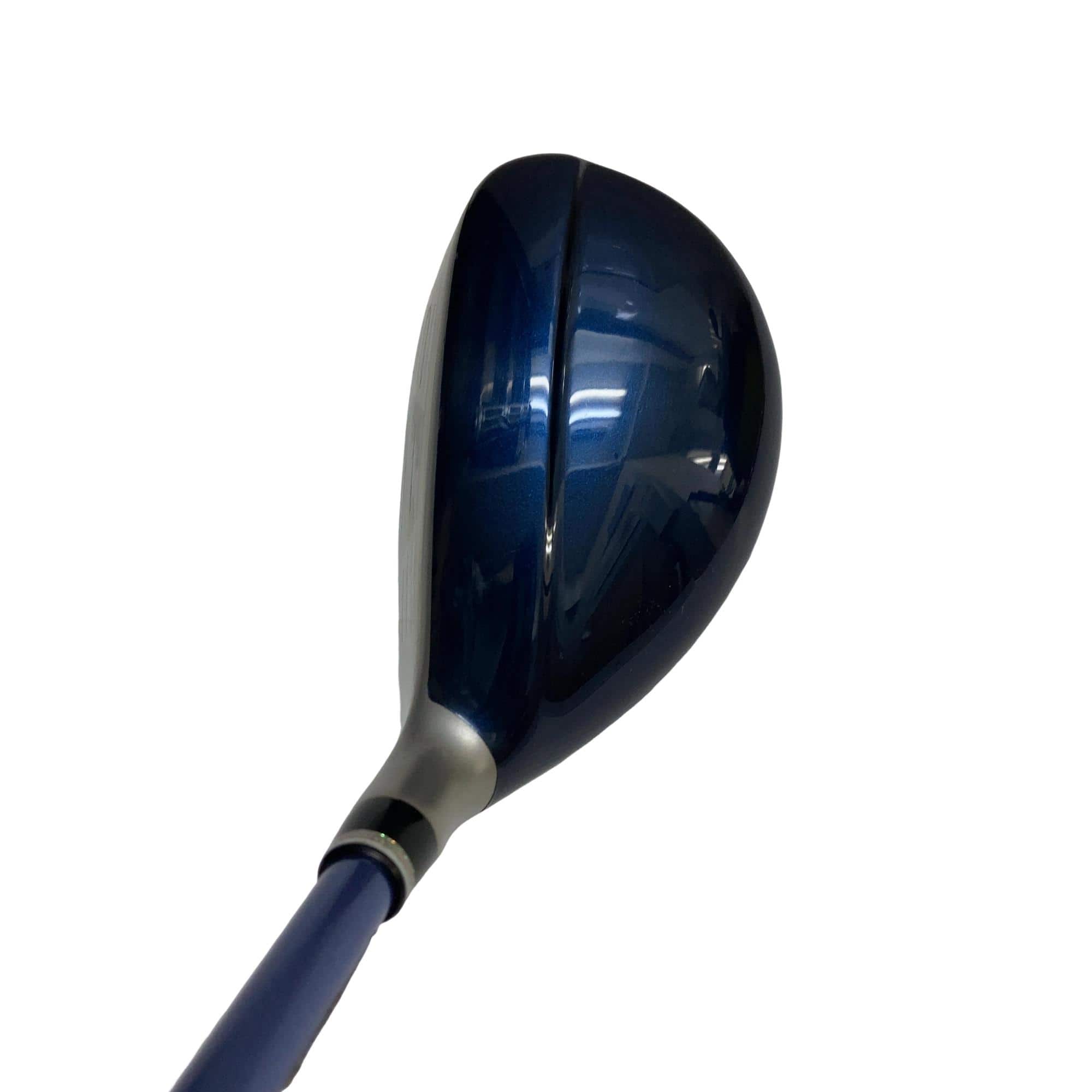 �w�w�h�n�i�Q�O�Q�O�j�@�g�U�@���f�B�[�X