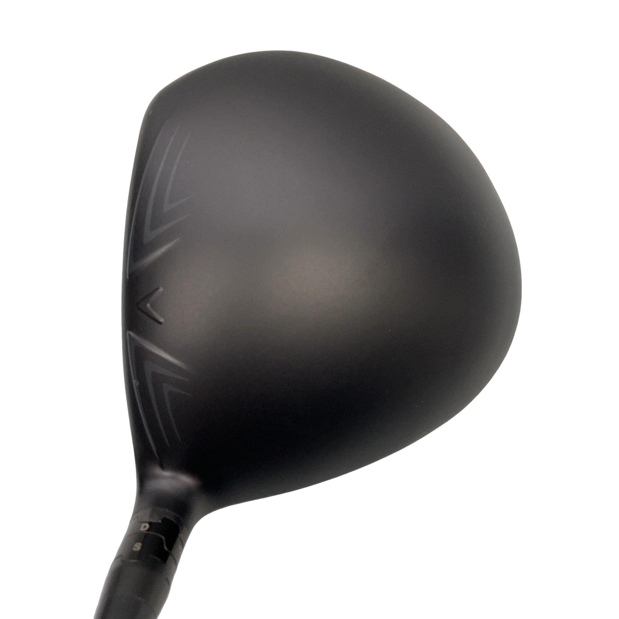 �w�q�@�P�U�@�@�X�D�T°