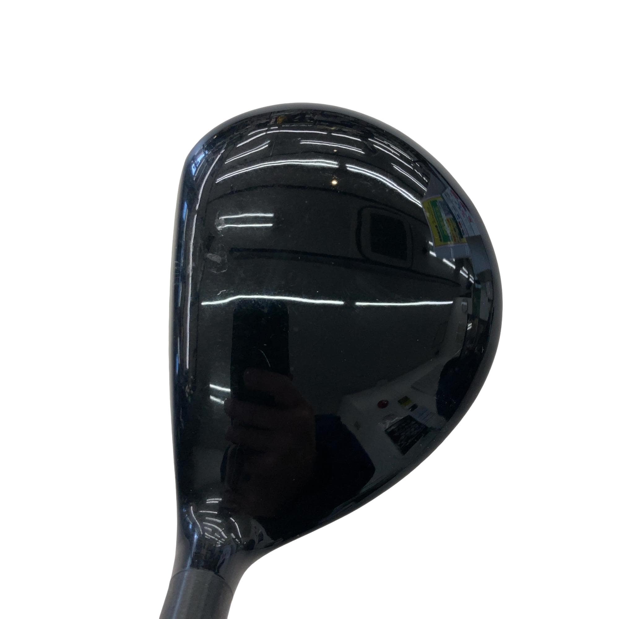 �w�Q�@�g�n�s�@�o�q�n�@�P�X°