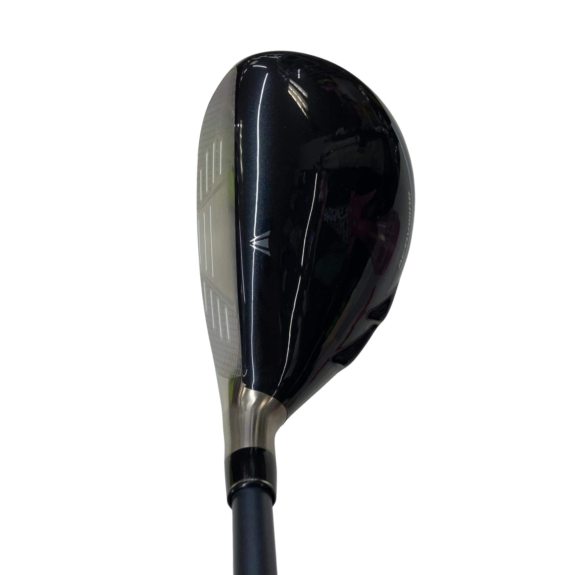 �w�w�h�n�i�Q�O�Q�U�j�@�g�T