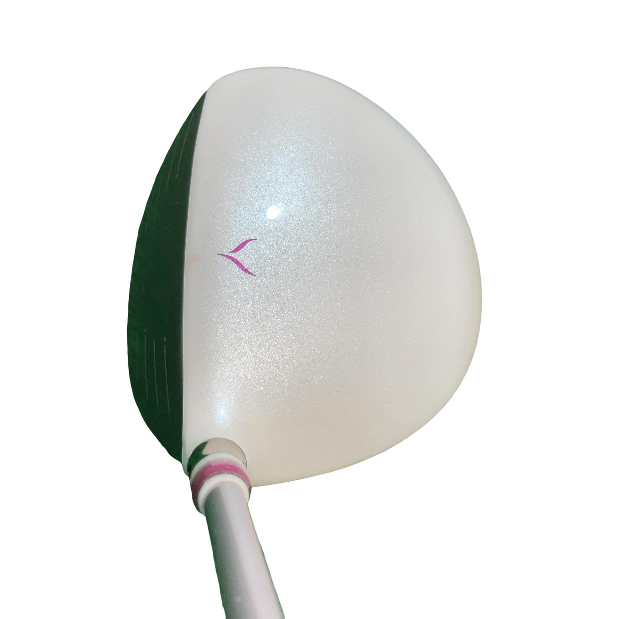 �x�n�m�d�w�@�e���������i�Q�O�P�W�j�@�P�R�D�T°