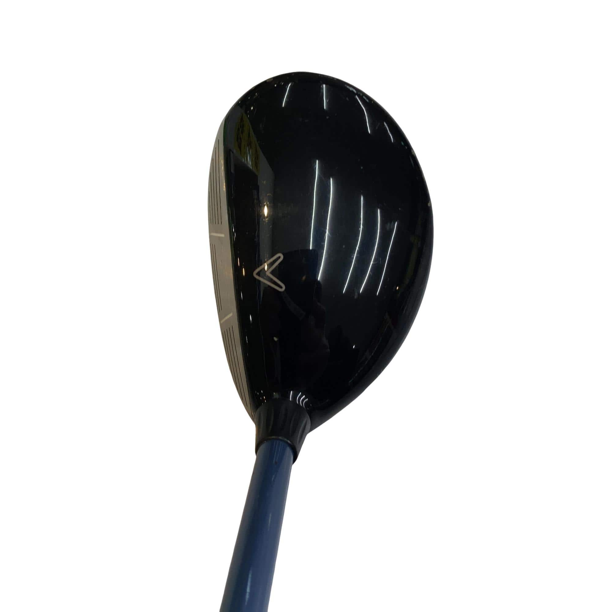 �w�@���[�e�B���e�B�@�T�g�i�Q�V°�j�@���f�B�[�X