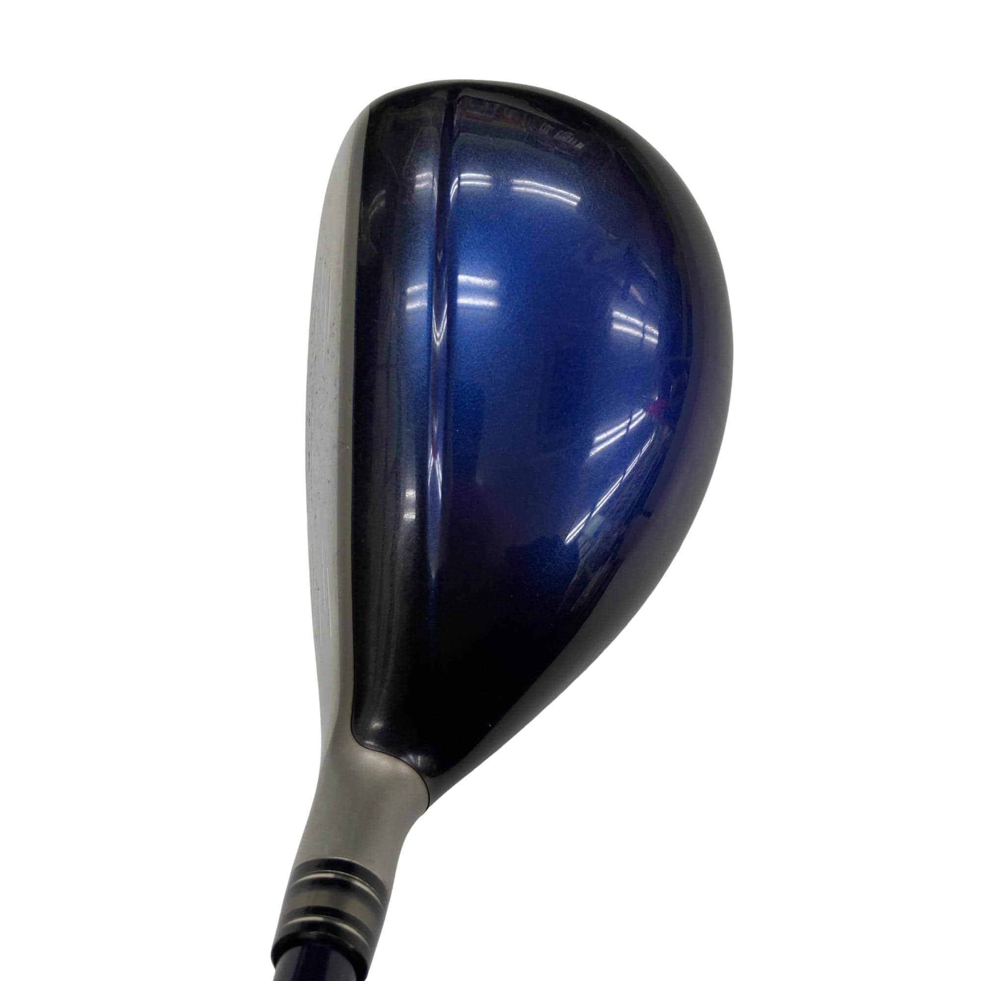 �w�w�h�n�i�Q�O�P�W�j�@�g�T