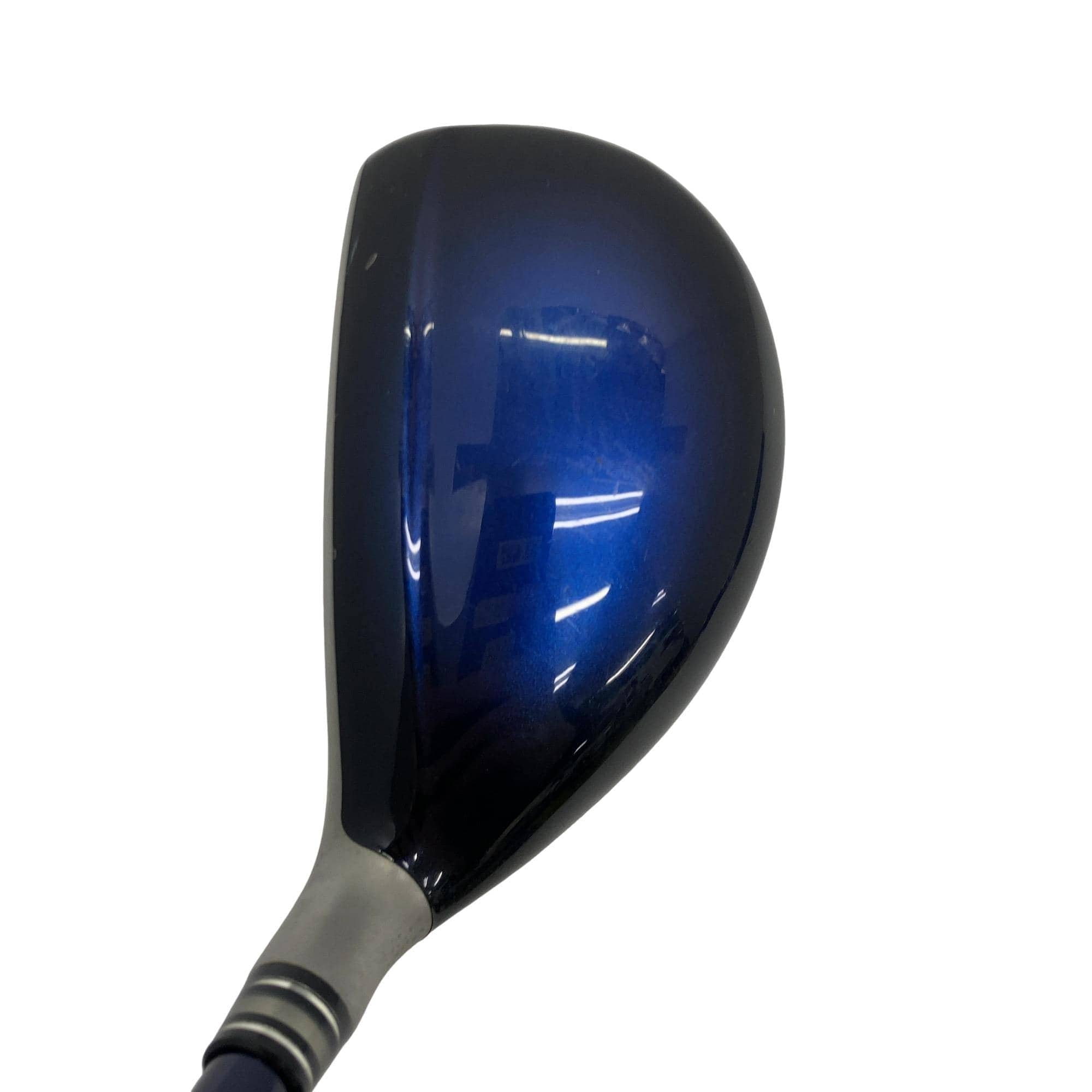 �w�w�h�n�i�Q�O�P�W�j�@�g�T