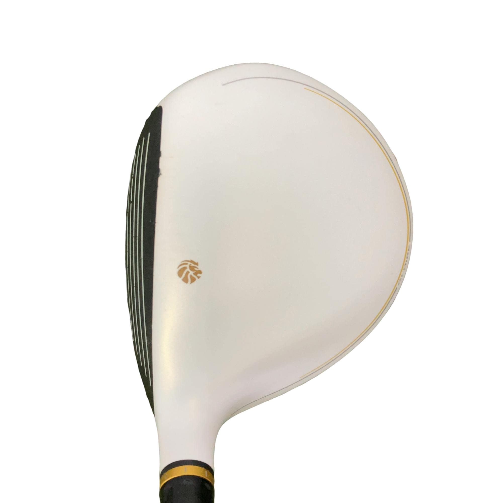 �f�k�n�h�q�d�@�T�v