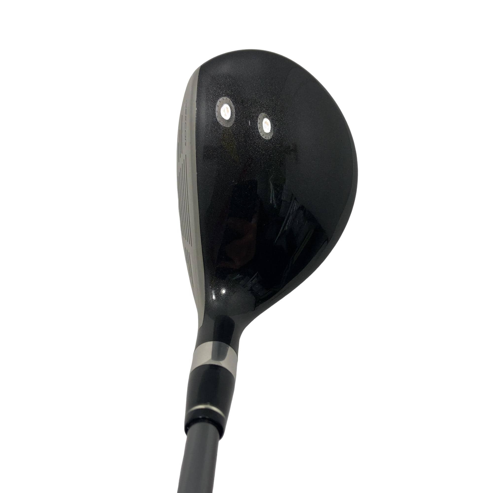 �u�q�Q�r�@���[�e�B���e�B�@�t�S