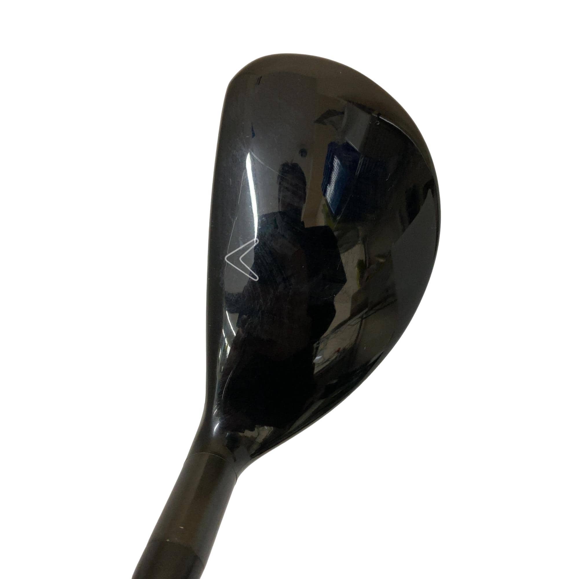 �w�Q�@�g�n�s�@�t�R