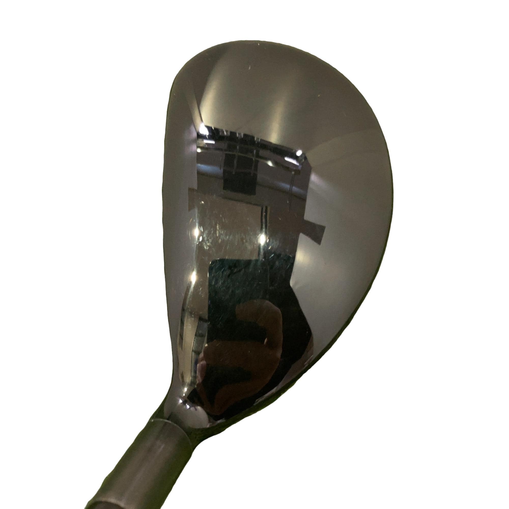 �w�@�g�n�s�@�t�R