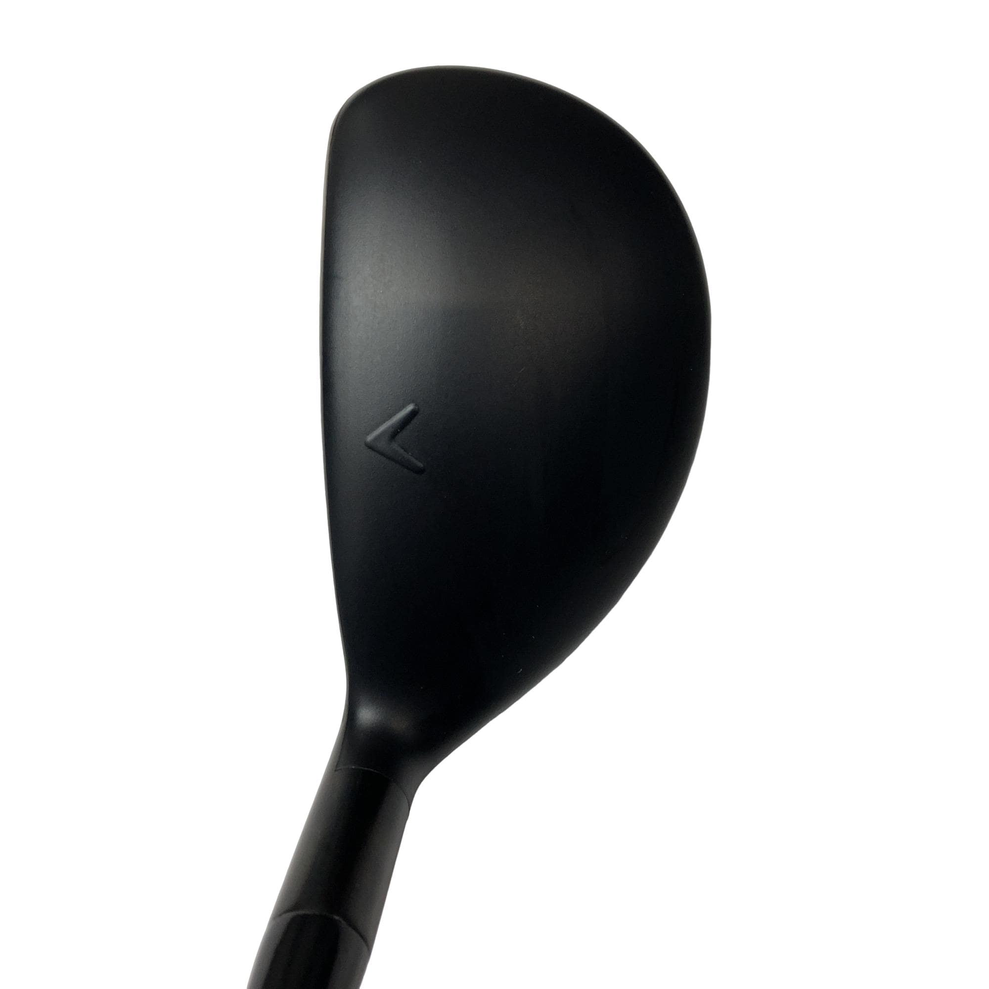 �w�q�@�P�U�@�n�r�@�t�R