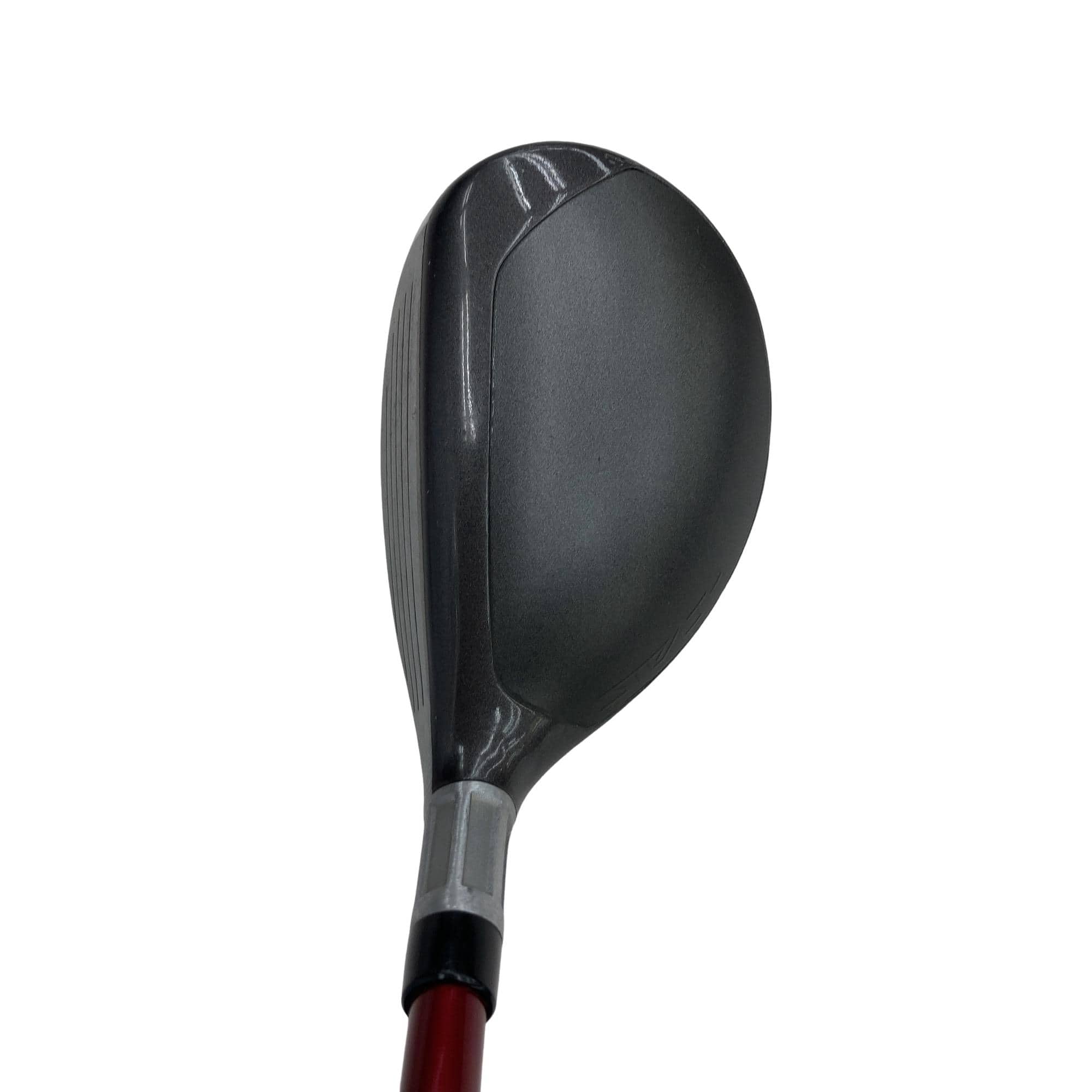 �r�s�d�`�k�s�g�@�t�S�@���f�B�[�X