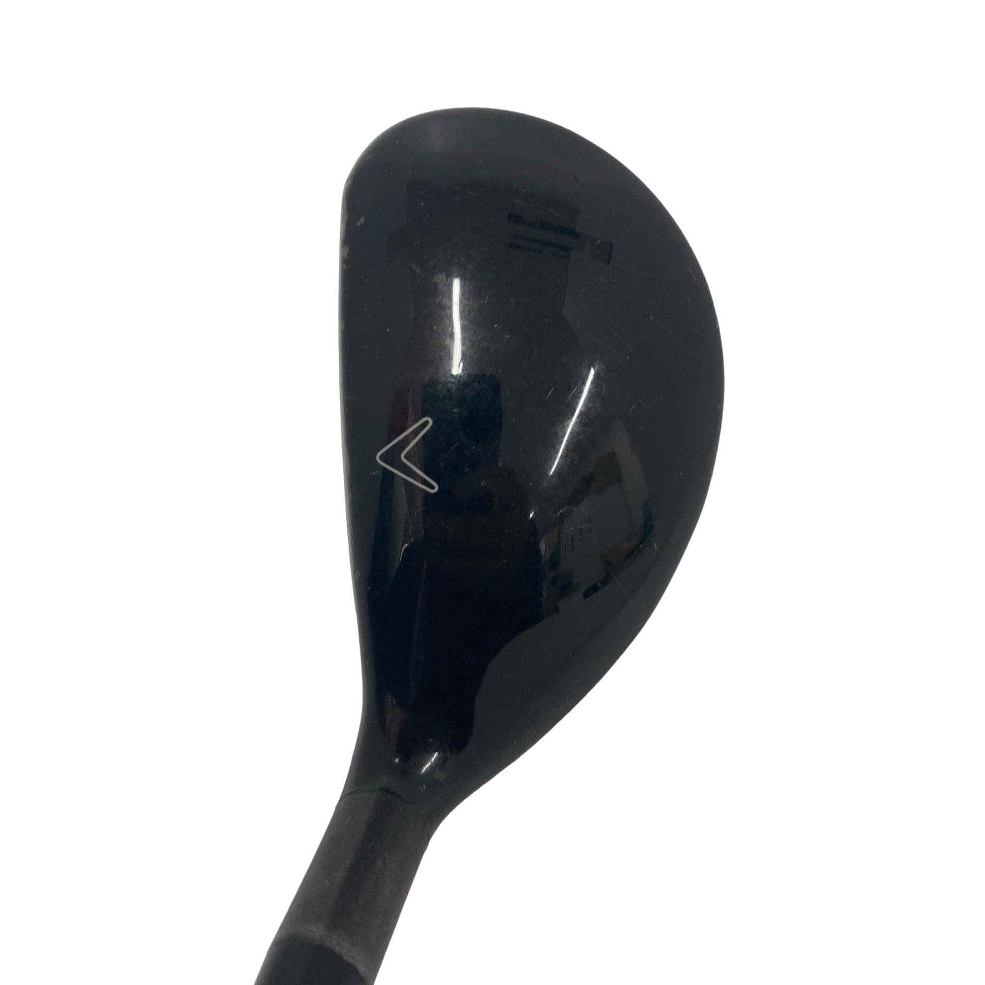 �w�Q�@�g�n�s�@�t�T�@���f�B�[�X