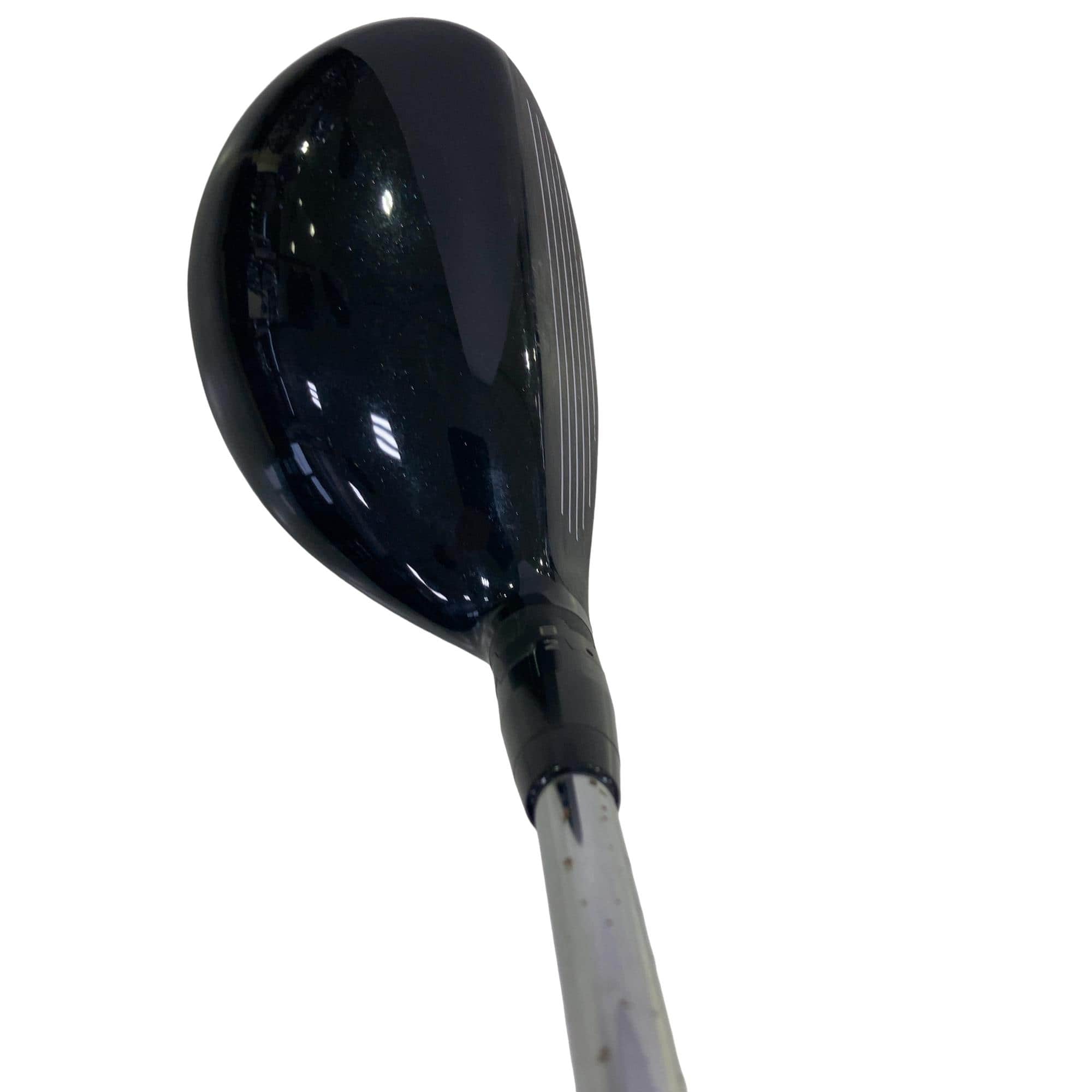 �X�P�T�@�g�@�t�S�@���t�e�B