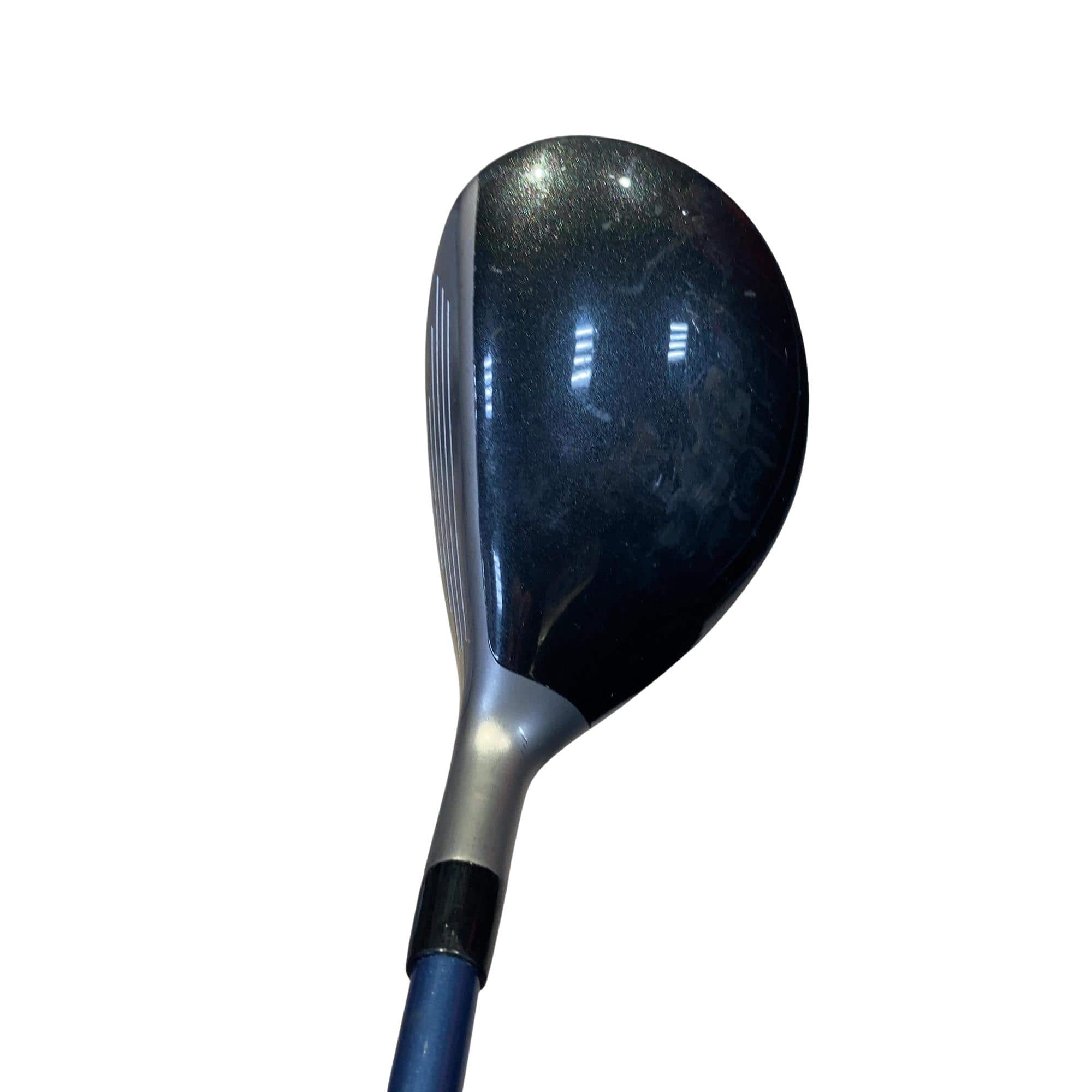 �a�q�|�w�@�_�[�N�O���[�@�t�T�@���f�B�[�X