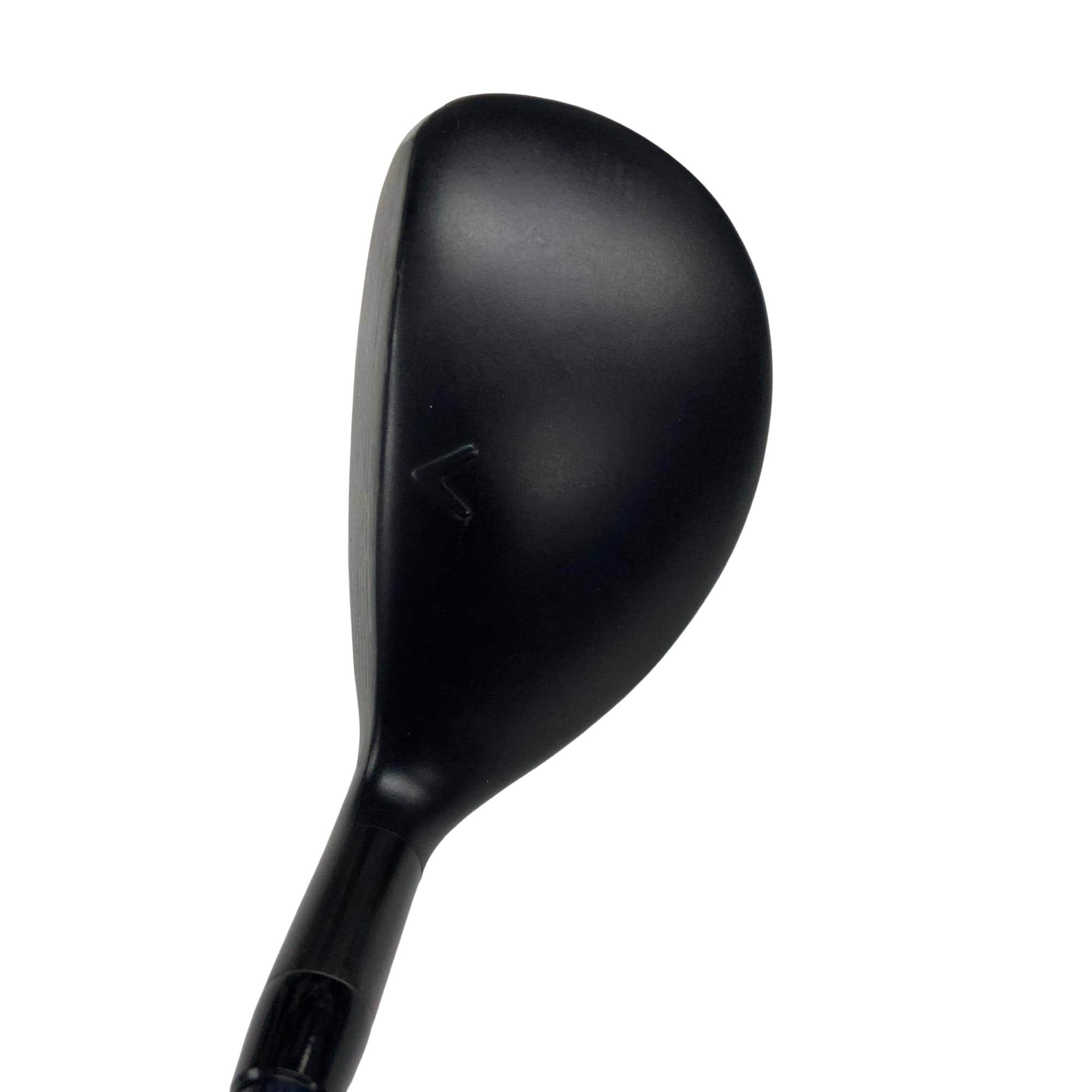 �w�q�@�P�U�@�n�r�@�t�T