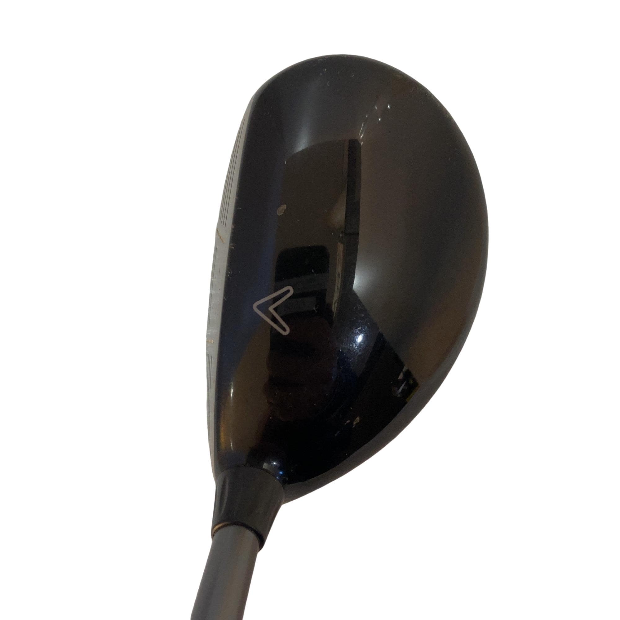 �w�@���[�e�B���e�B�@�Q�g�i�P�W°�j