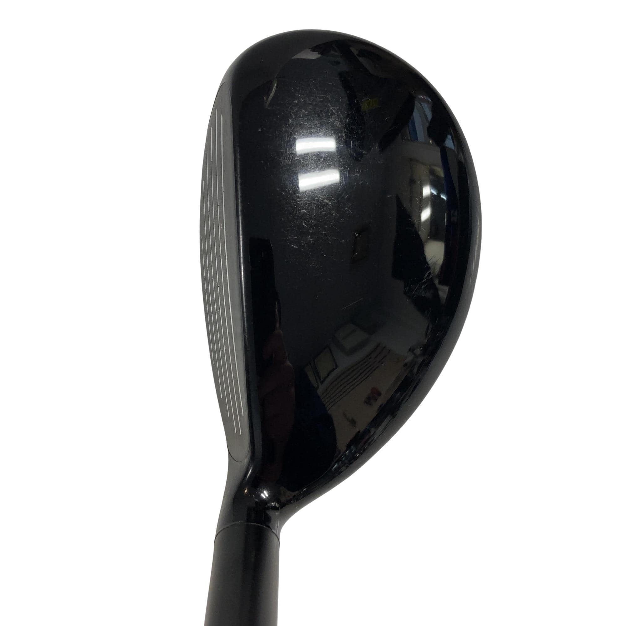 �w�@�g�n�s�@�t�T