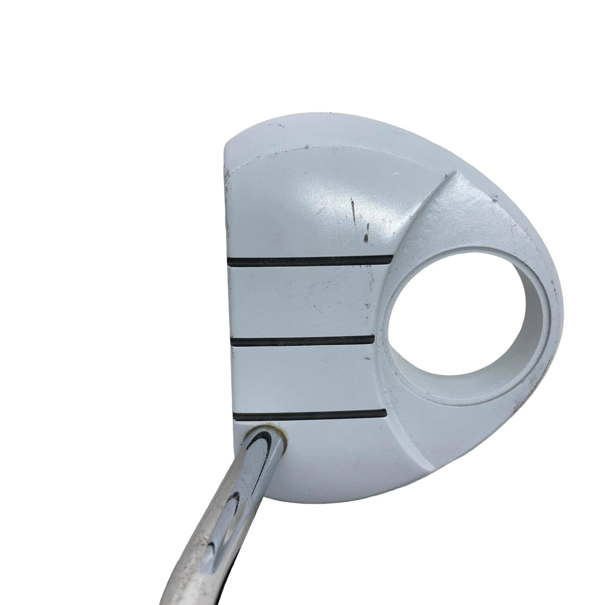 �q���������@�f�g�n�r�s�@���������{�@�b�n�q�y�`�@�R�T�C���`