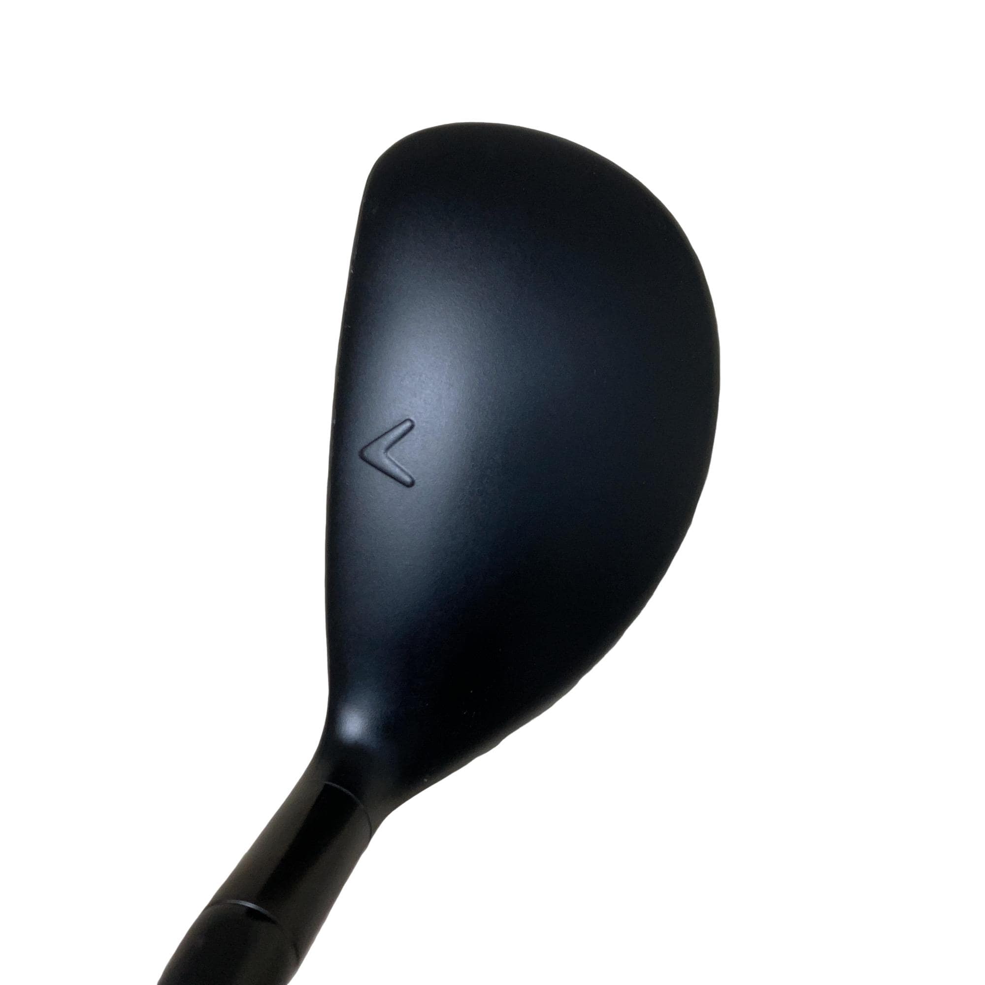 �w�q�@�P�U�@�n�r�@�t�R