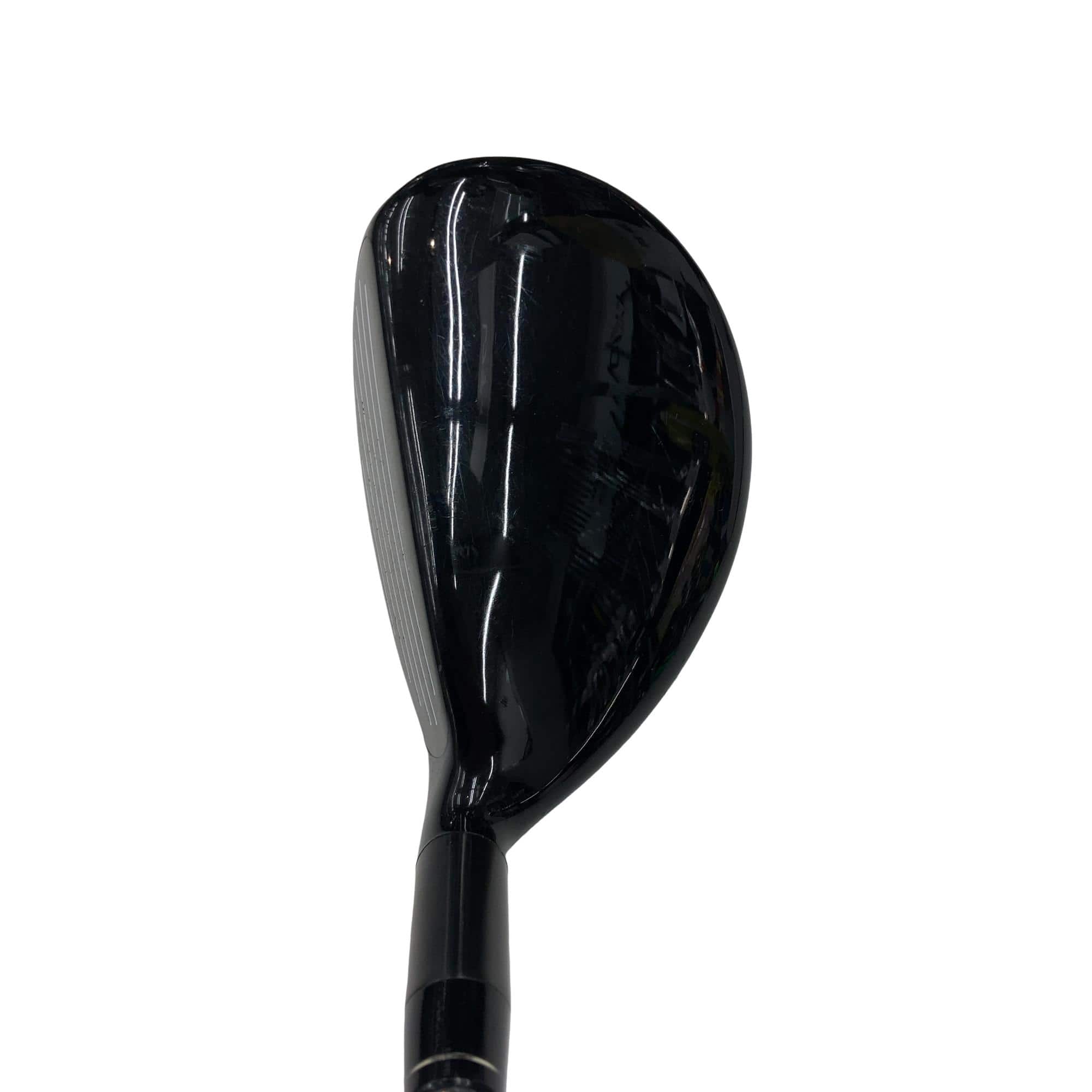 �w�@�g�n�s�@�t�S