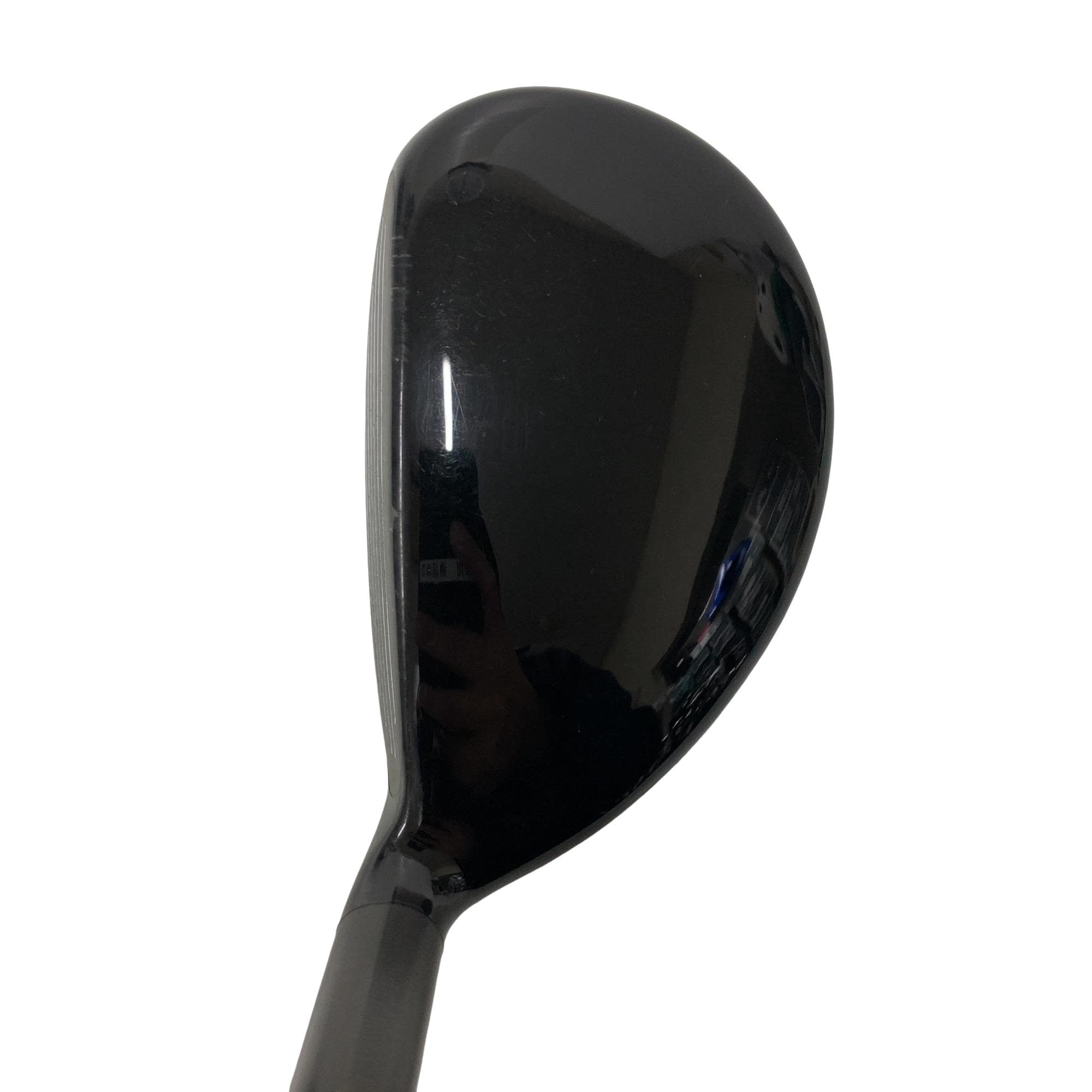 �w�@�g�n�s�@�t�S