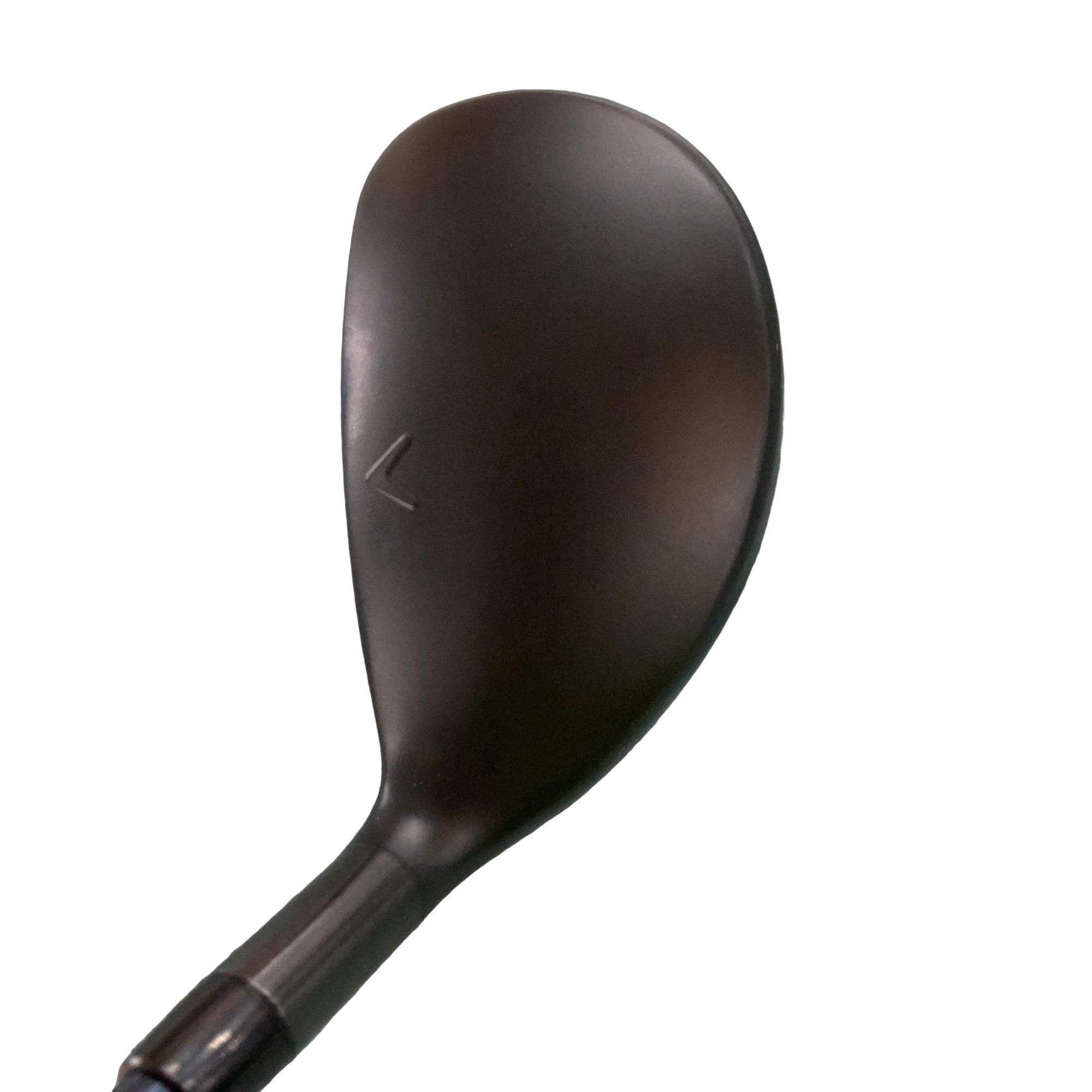 �w�q�@�P�U�@�n�r�@�t�R