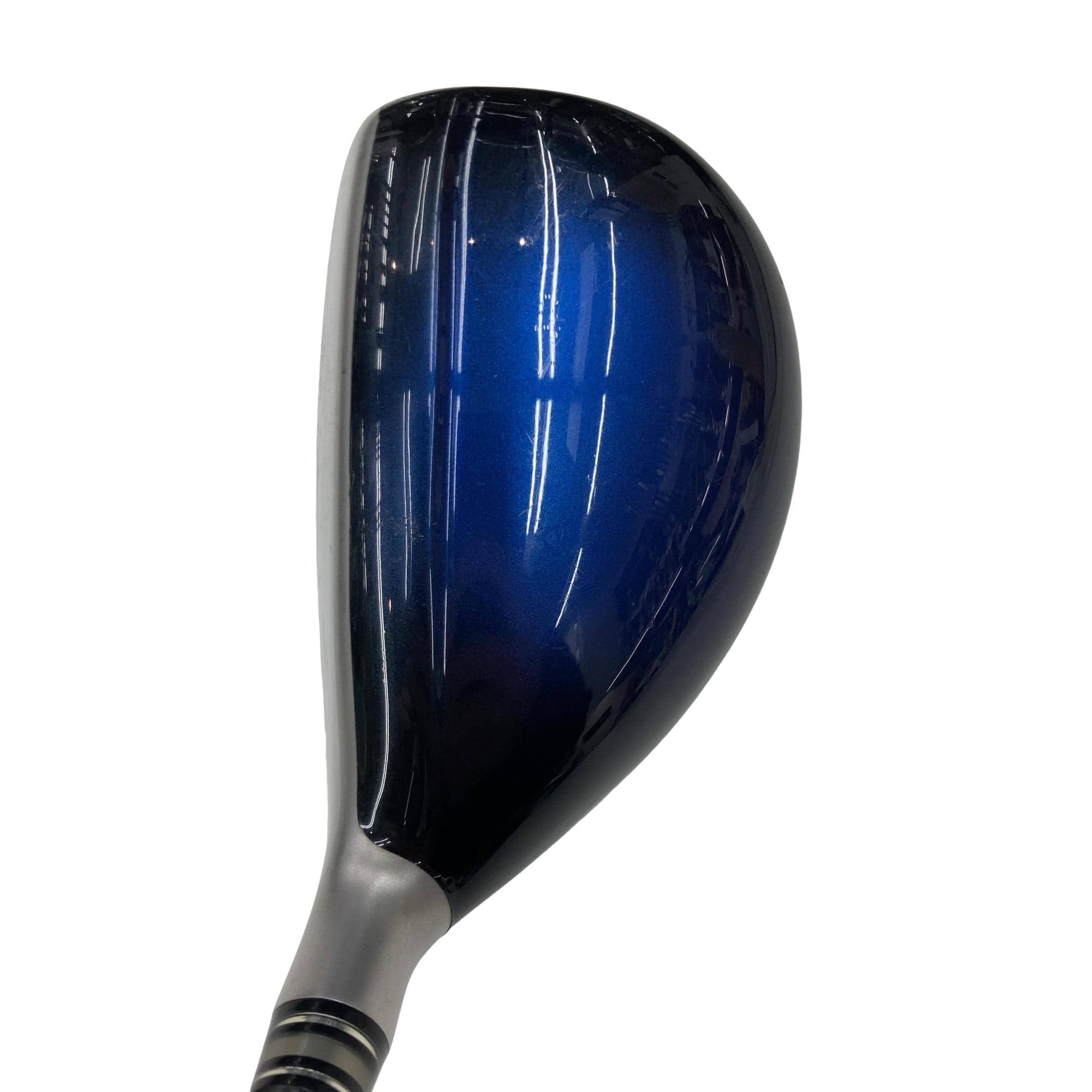 �w�w�h�n�i�Q�O�P�W�j�@�g�T