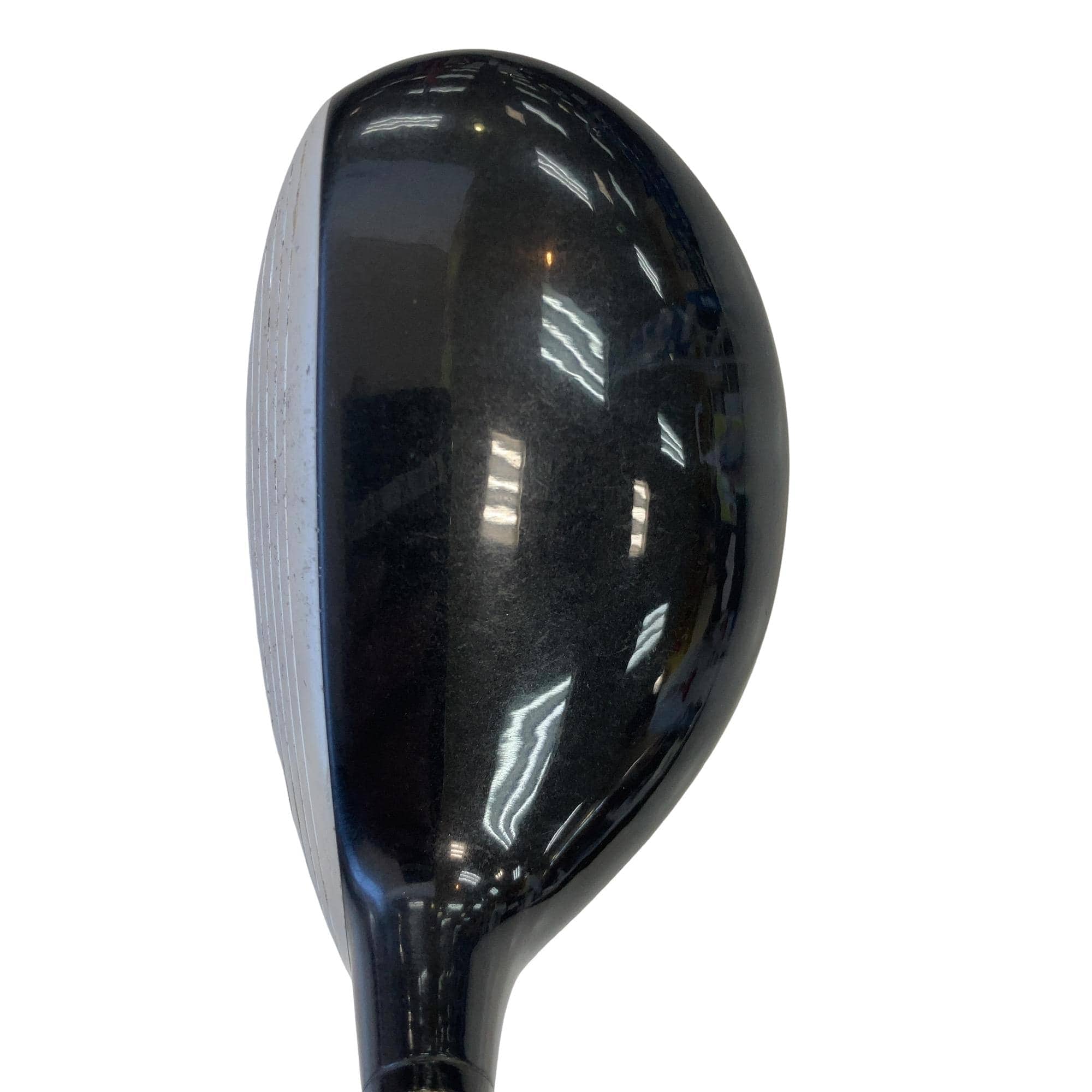 �o�n�v�d�q�@�s�n�q�m�`�c�n�@�d�|�r�������@�T�T