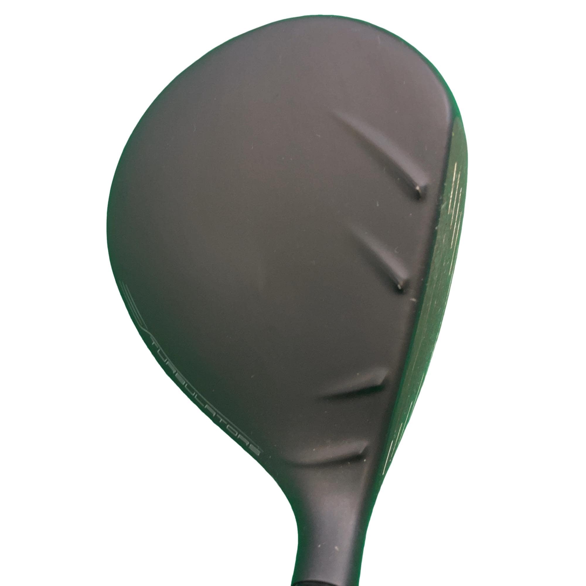 �f�@�T�v�@���t�e�B