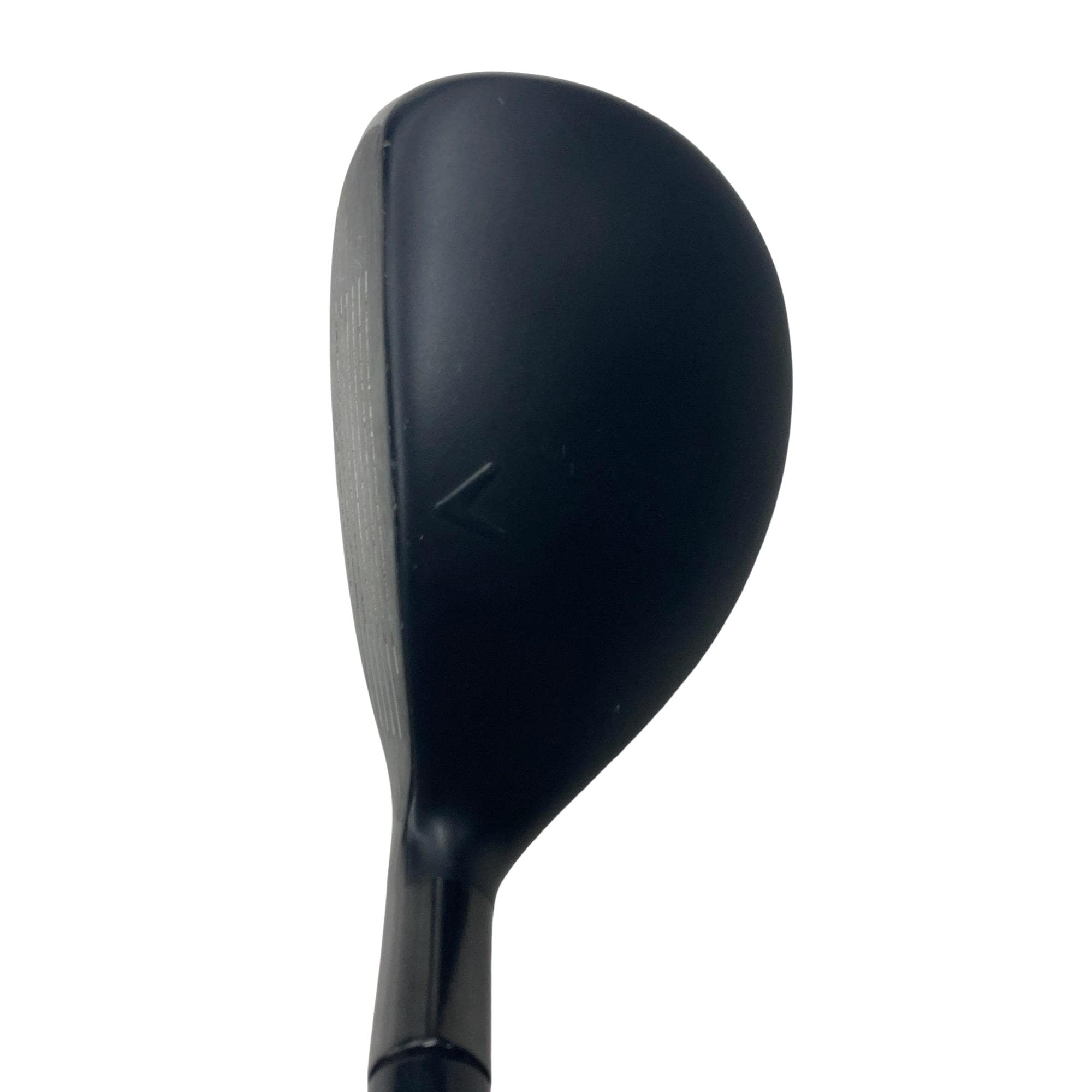 �w�q�@�P�U�@�n�r�@�t�S