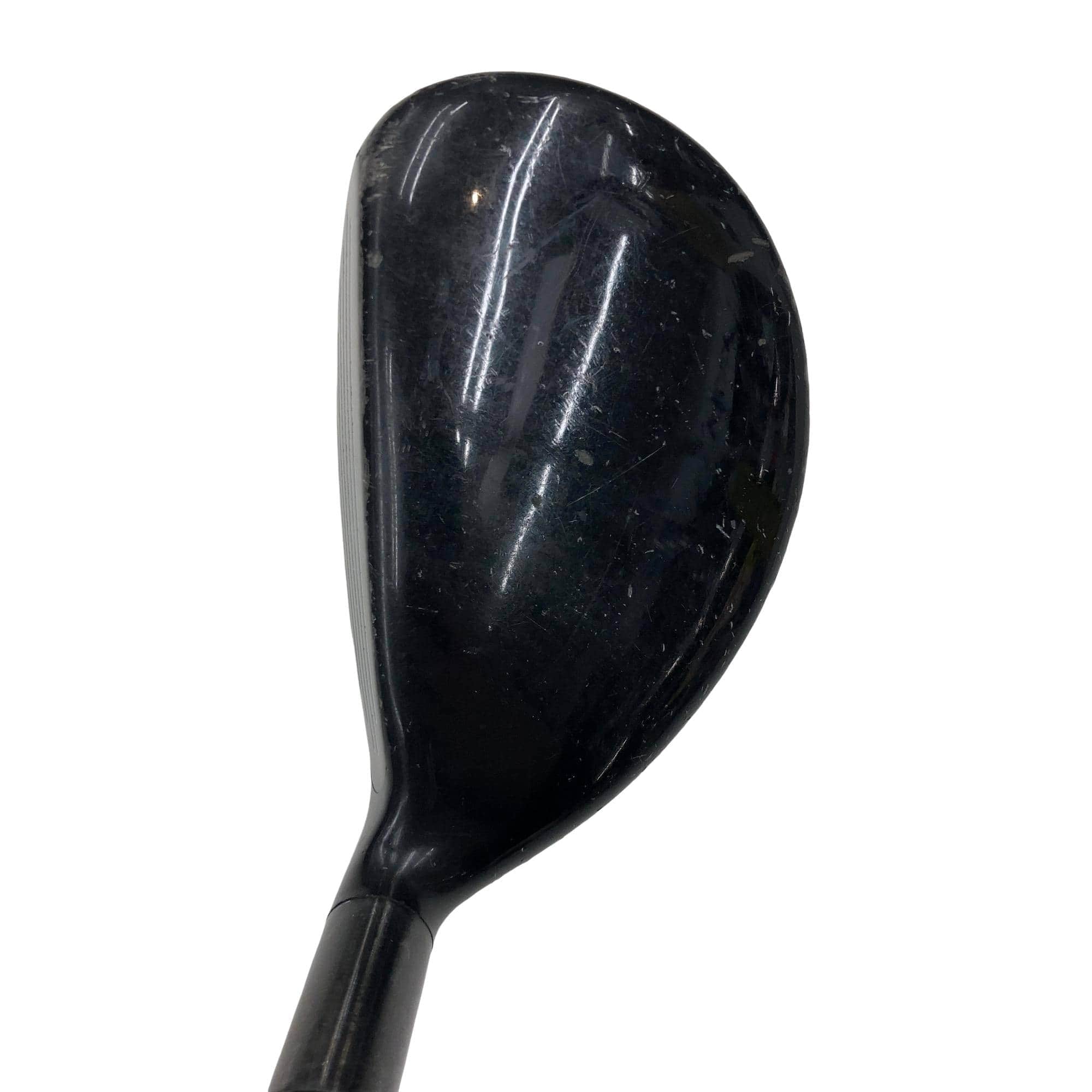 �w�@�g�n�s�@�t�T