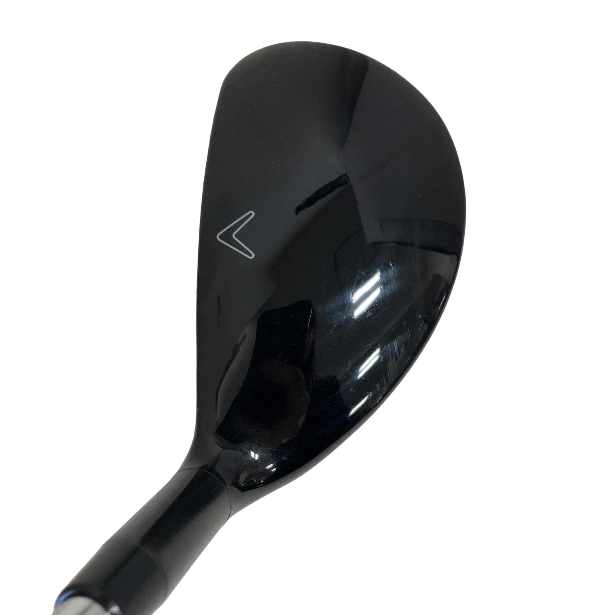 �w�Q�@�g�n�s�@�t�R